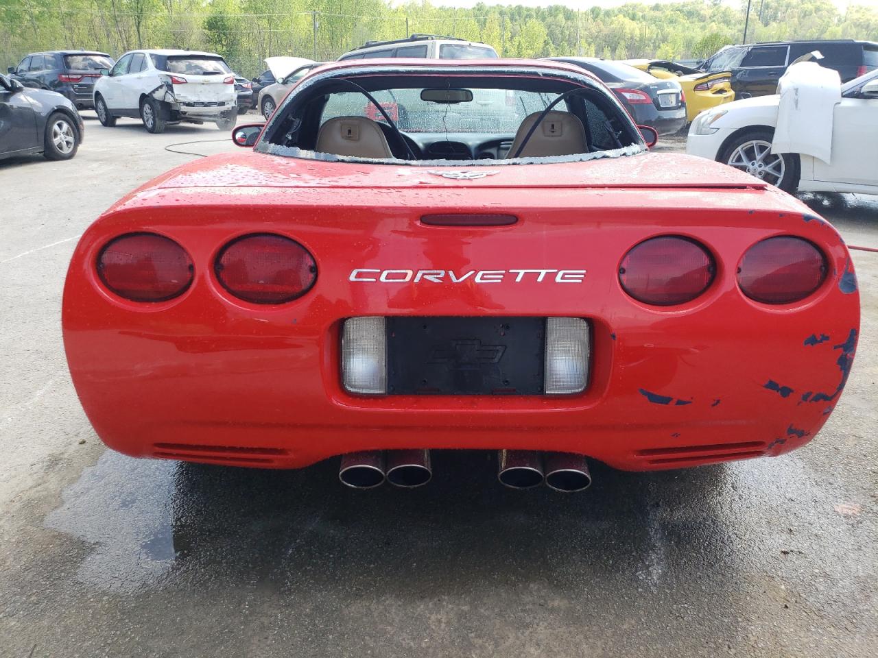 Photo 5 VIN: 1G1YY22G4W5117800 - CHEVROLET CORVETTE 