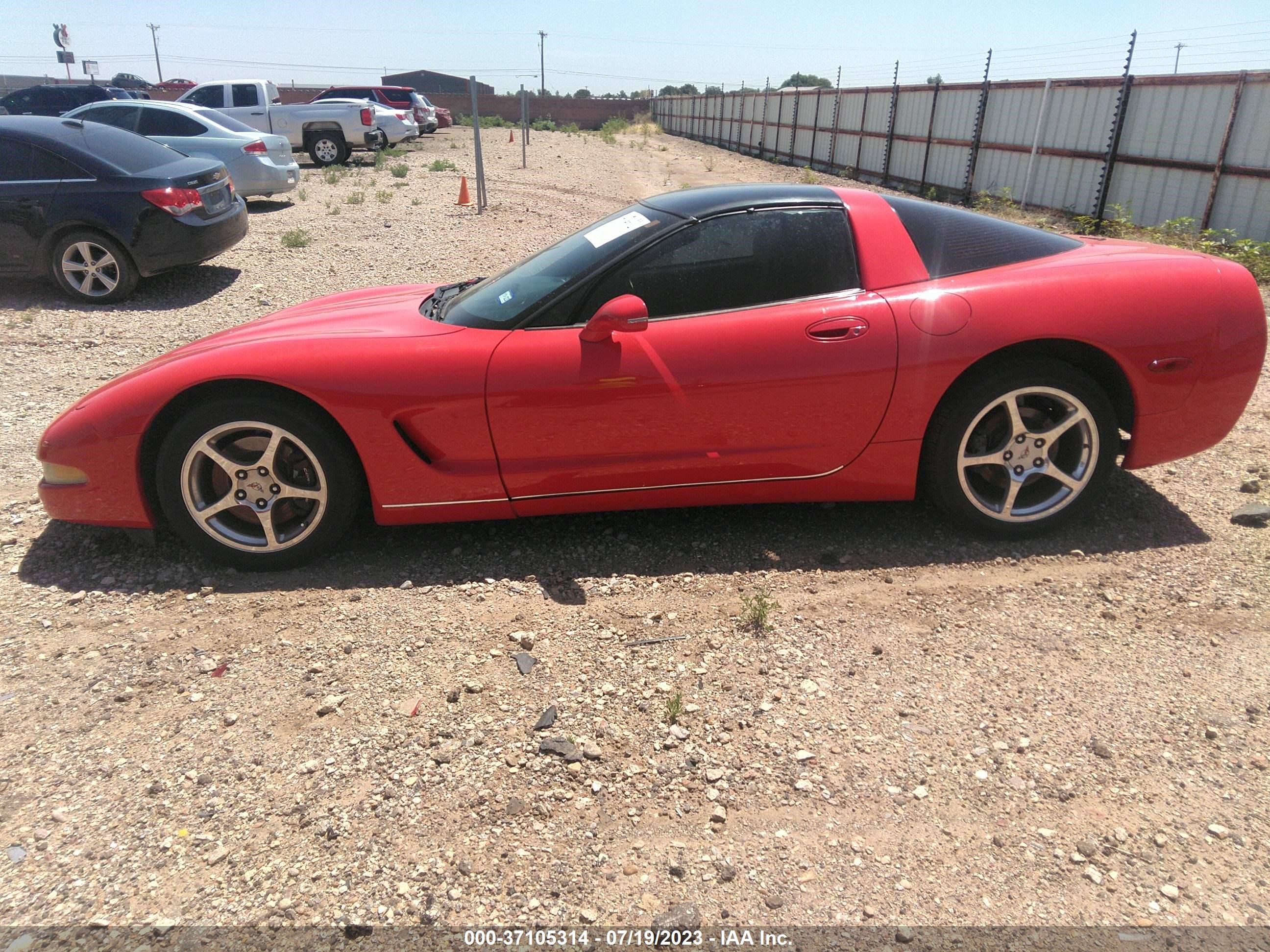 Photo 13 VIN: 1G1YY22G4X5127275 - CHEVROLET CORVETTE 