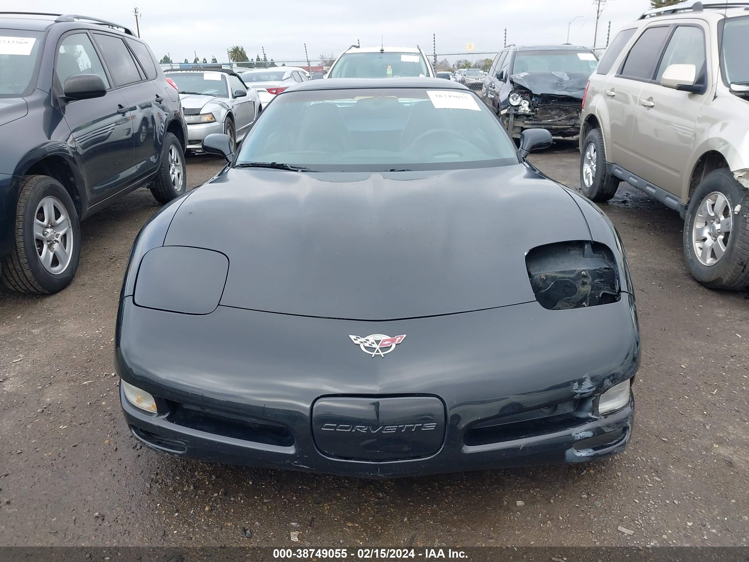 Photo 12 VIN: 1G1YY22G635111993 - CHEVROLET CORVETTE 