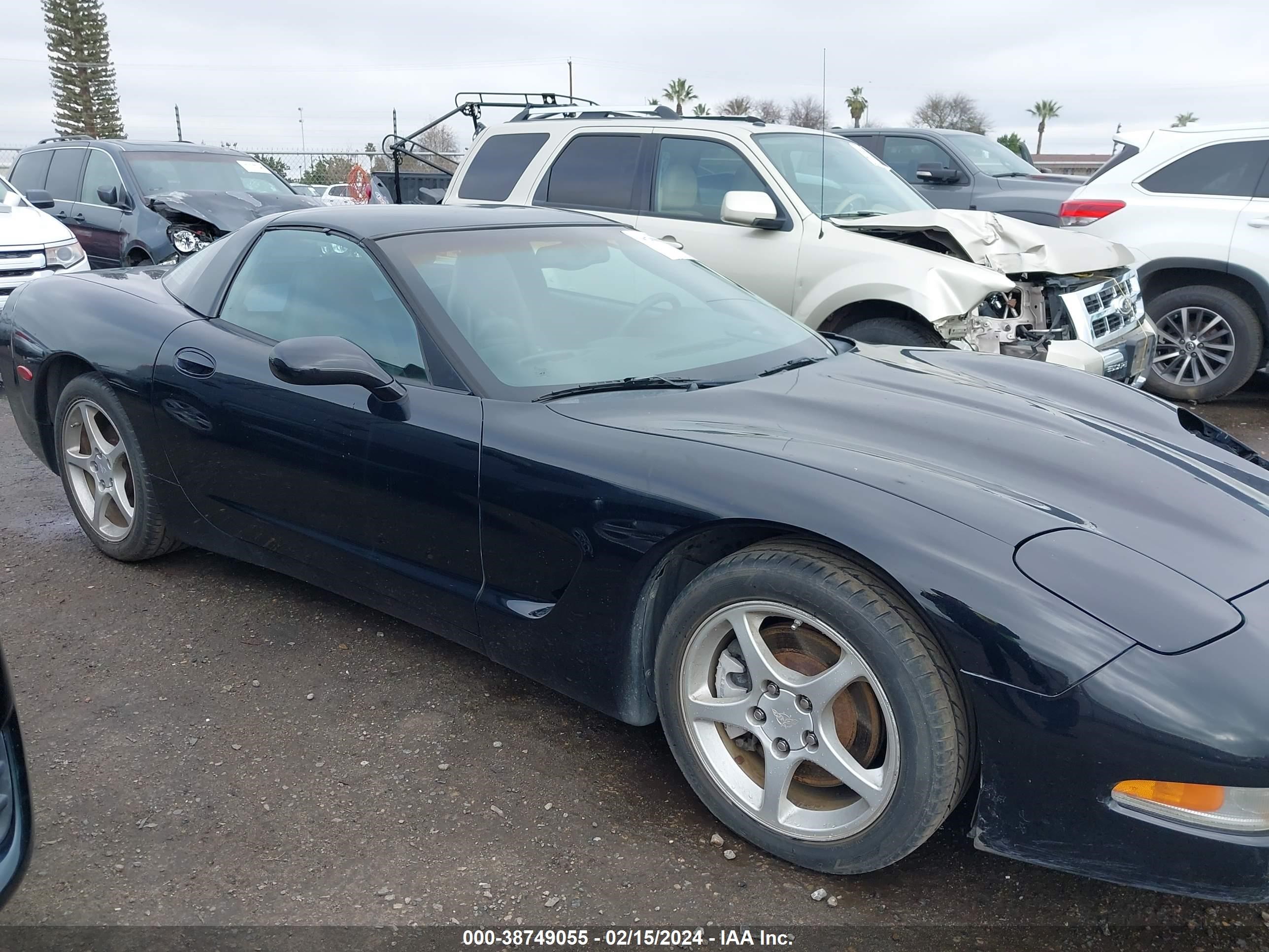 Photo 13 VIN: 1G1YY22G635111993 - CHEVROLET CORVETTE 