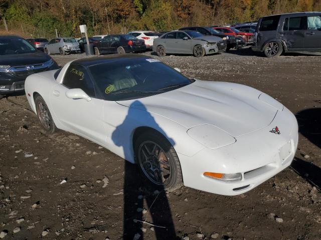 Photo 3 VIN: 1G1YY22G845116369 - CHEVROLET CORVETTE 