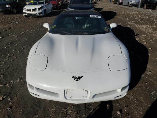 Photo 4 VIN: 1G1YY22G845116369 - CHEVROLET CORVETTE 