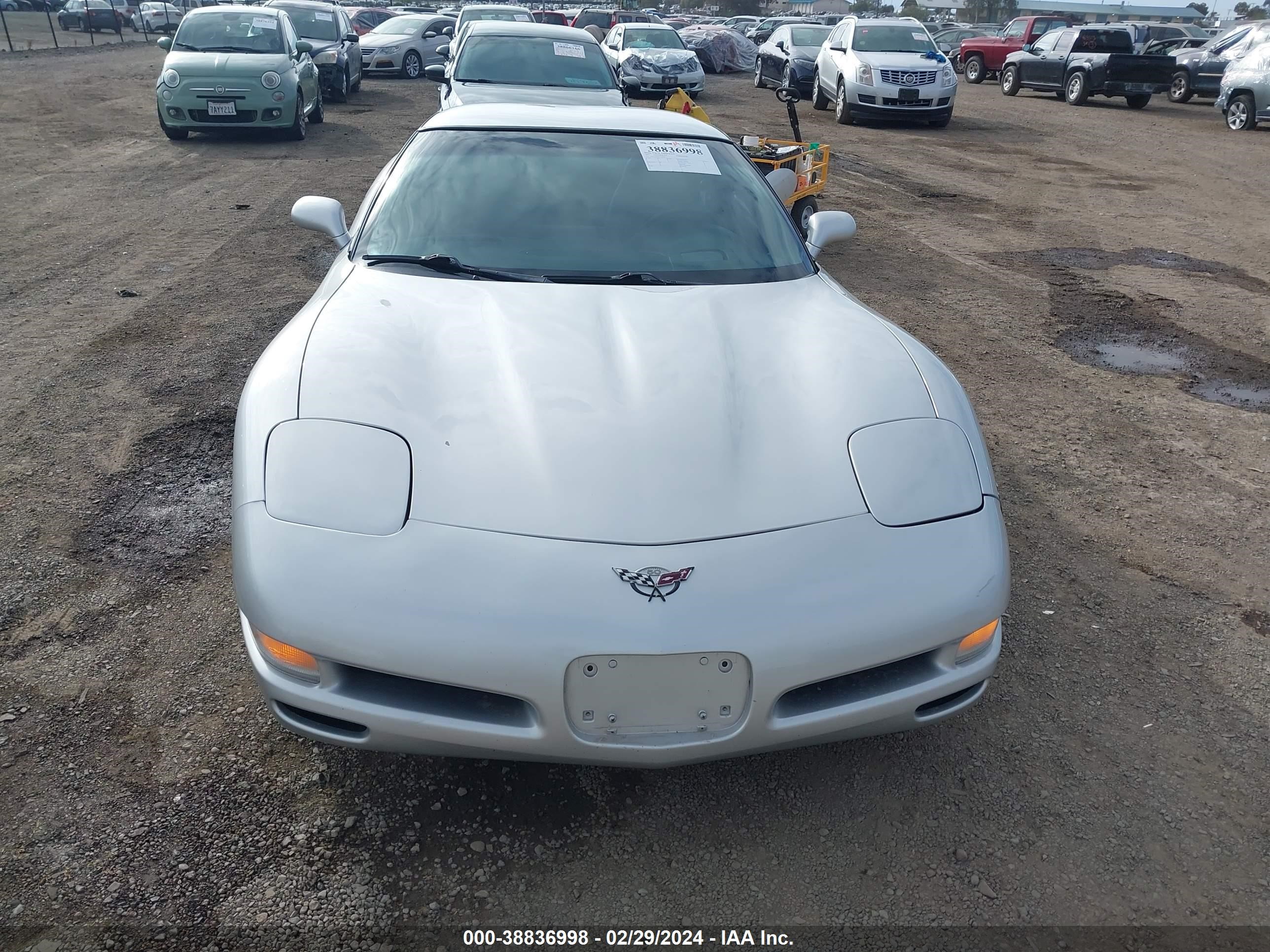 Photo 11 VIN: 1G1YY22G935102690 - CHEVROLET CORVETTE 