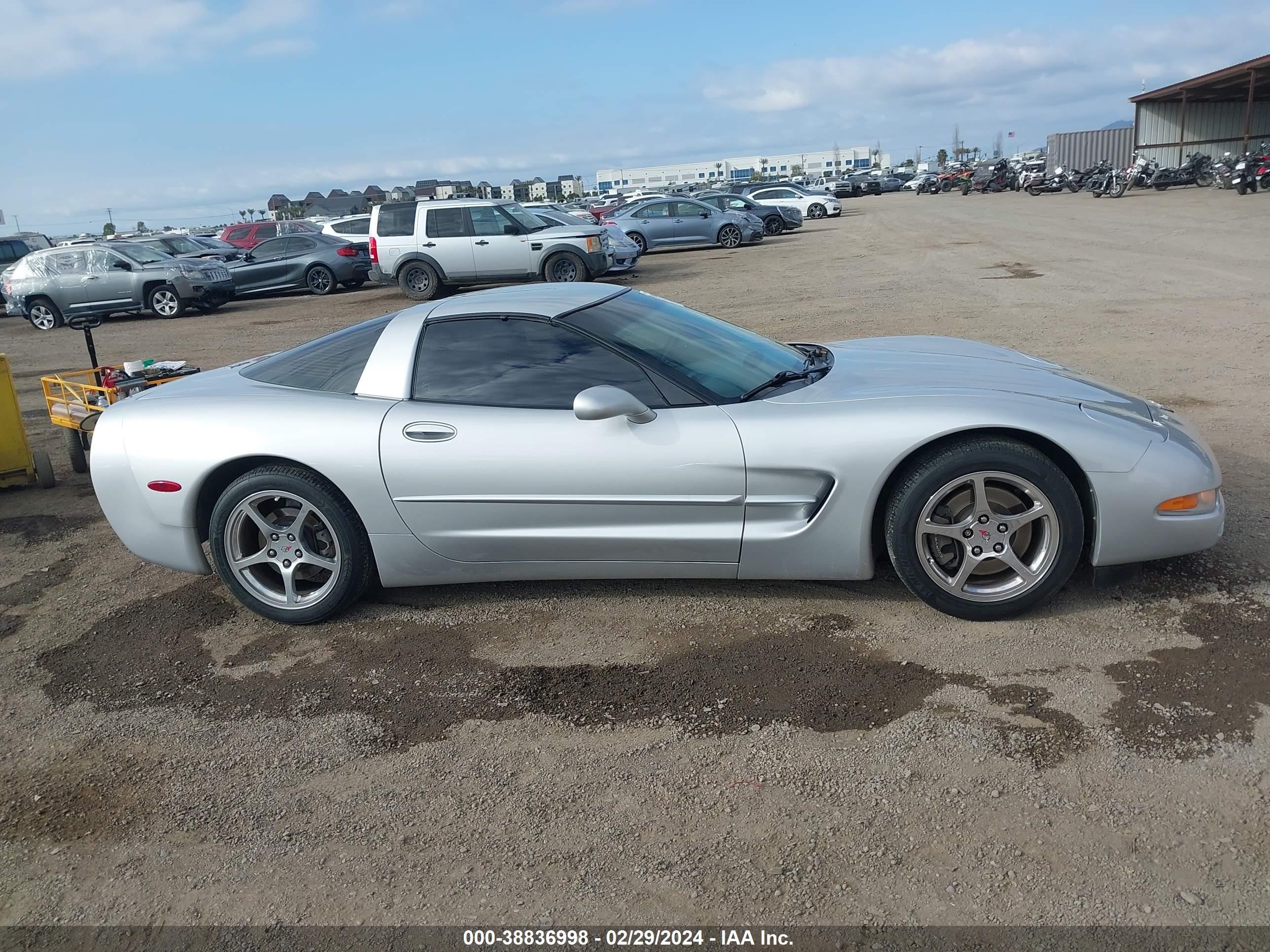 Photo 12 VIN: 1G1YY22G935102690 - CHEVROLET CORVETTE 