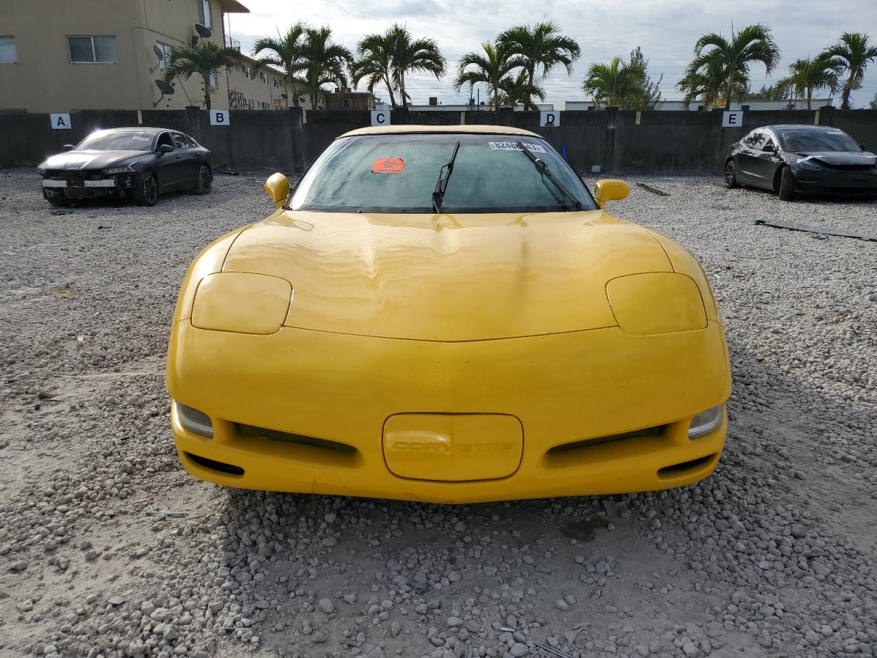 Photo 4 VIN: 1G1YY22GX15126137 - CHEVROLET CORVETTE 