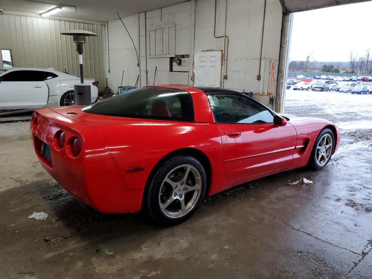 Photo 2 VIN: 1G1YY22GX25116239 - CHEVROLET CORVETTE 