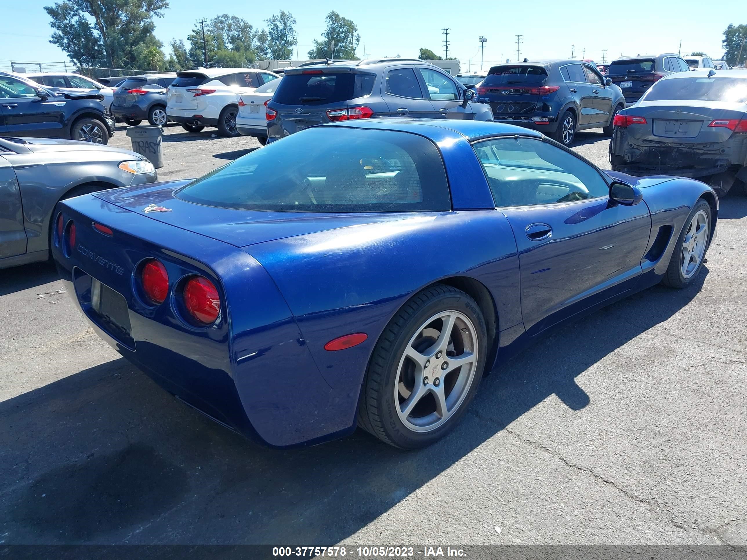 Photo 3 VIN: 1G1YY22GX45106913 - CHEVROLET CORVETTE 