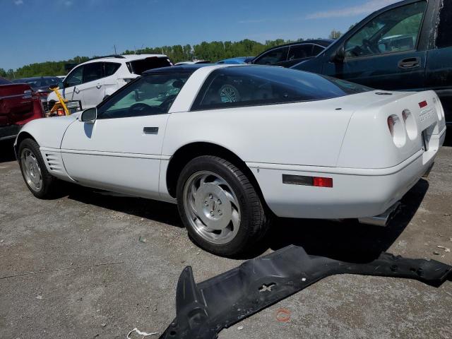 Photo 1 VIN: 1G1YY22P3R5117677 - CHEVROLET CORVETTE 