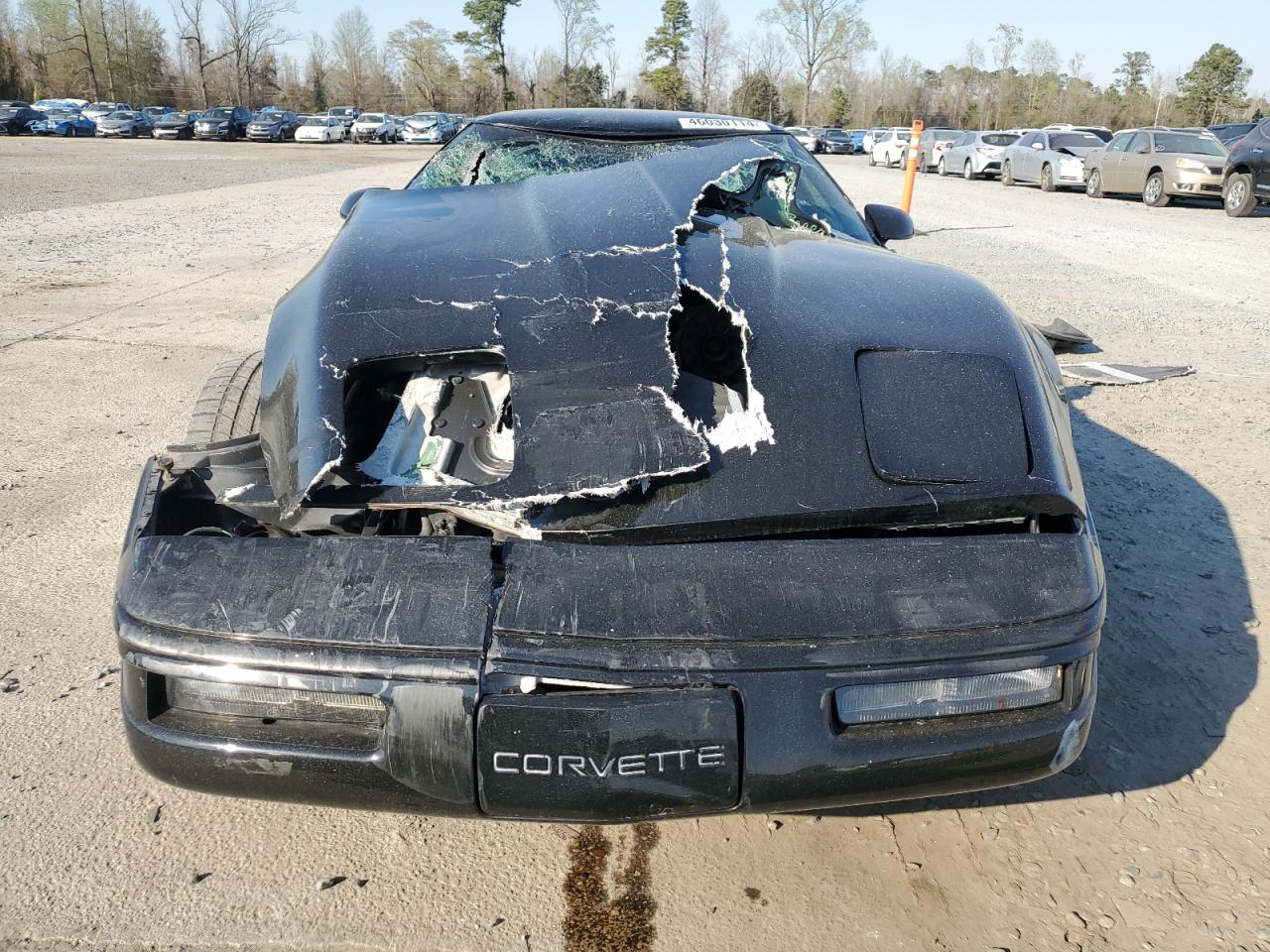 Photo 4 VIN: 1G1YY22P4S5101994 - CHEVROLET CORVETTE 