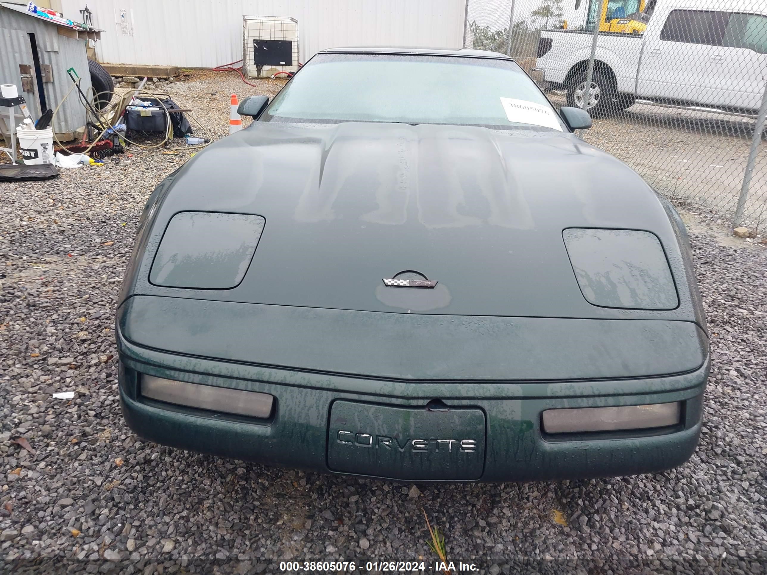 Photo 5 VIN: 1G1YY22P7T5115017 - CHEVROLET CORVETTE 