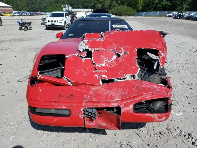 Photo 4 VIN: 1G1YY2382M5118237 - CHEVROLET CORVETTE 