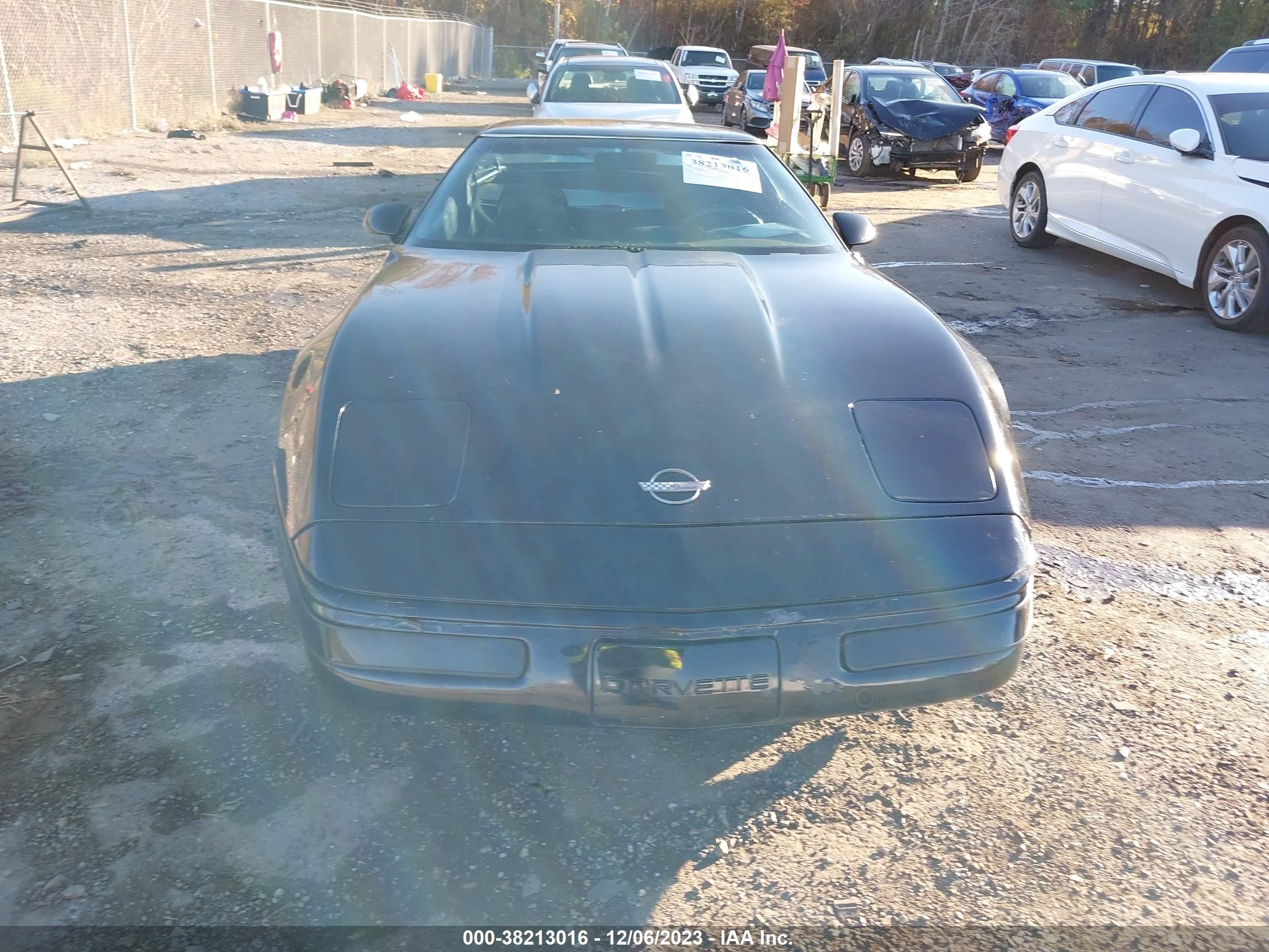 Photo 10 VIN: 1G1YY2383M5115329 - CHEVROLET CORVETTE 