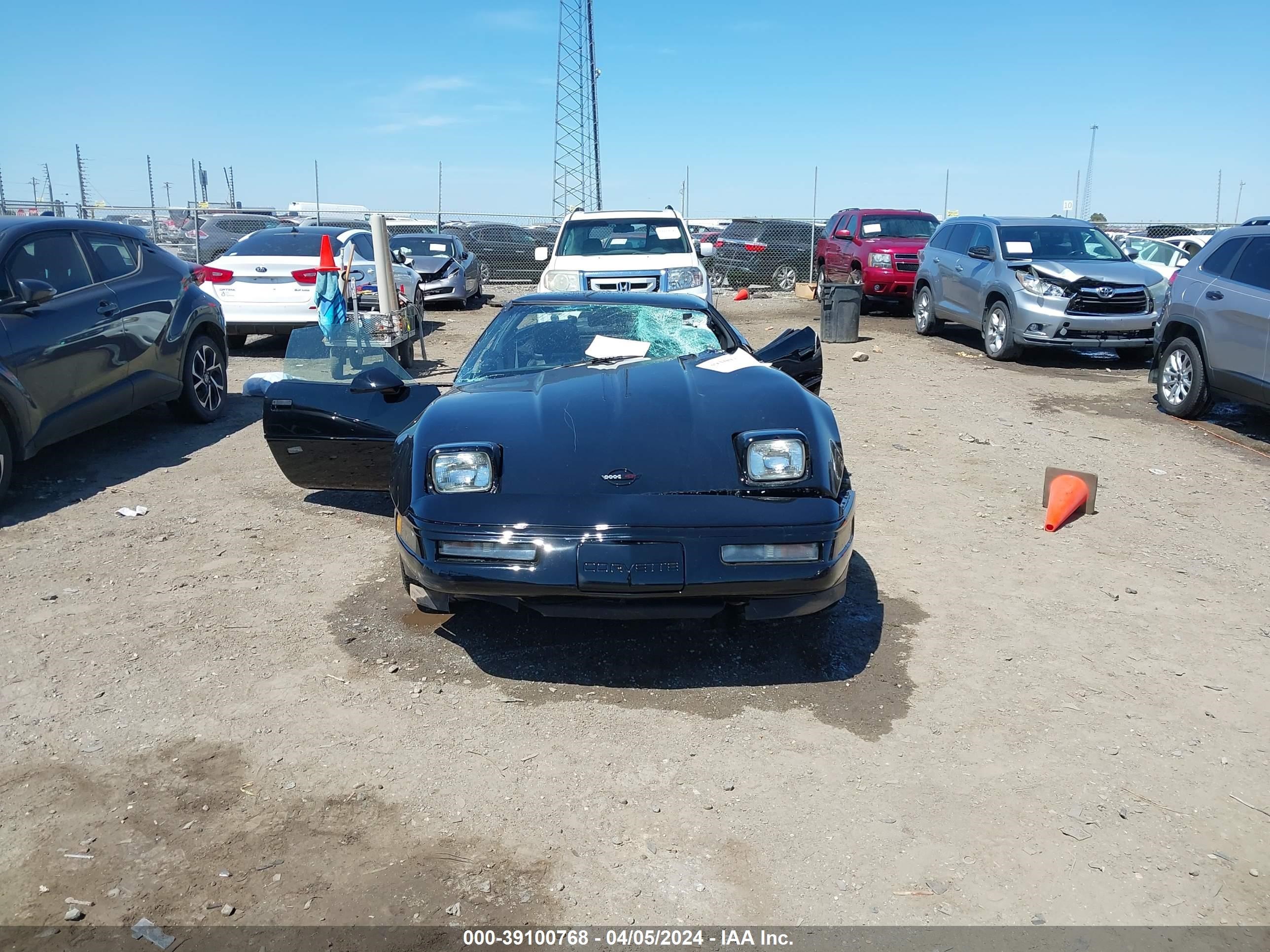 Photo 10 VIN: 1G1YY2385M5108608 - CHEVROLET CORVETTE 