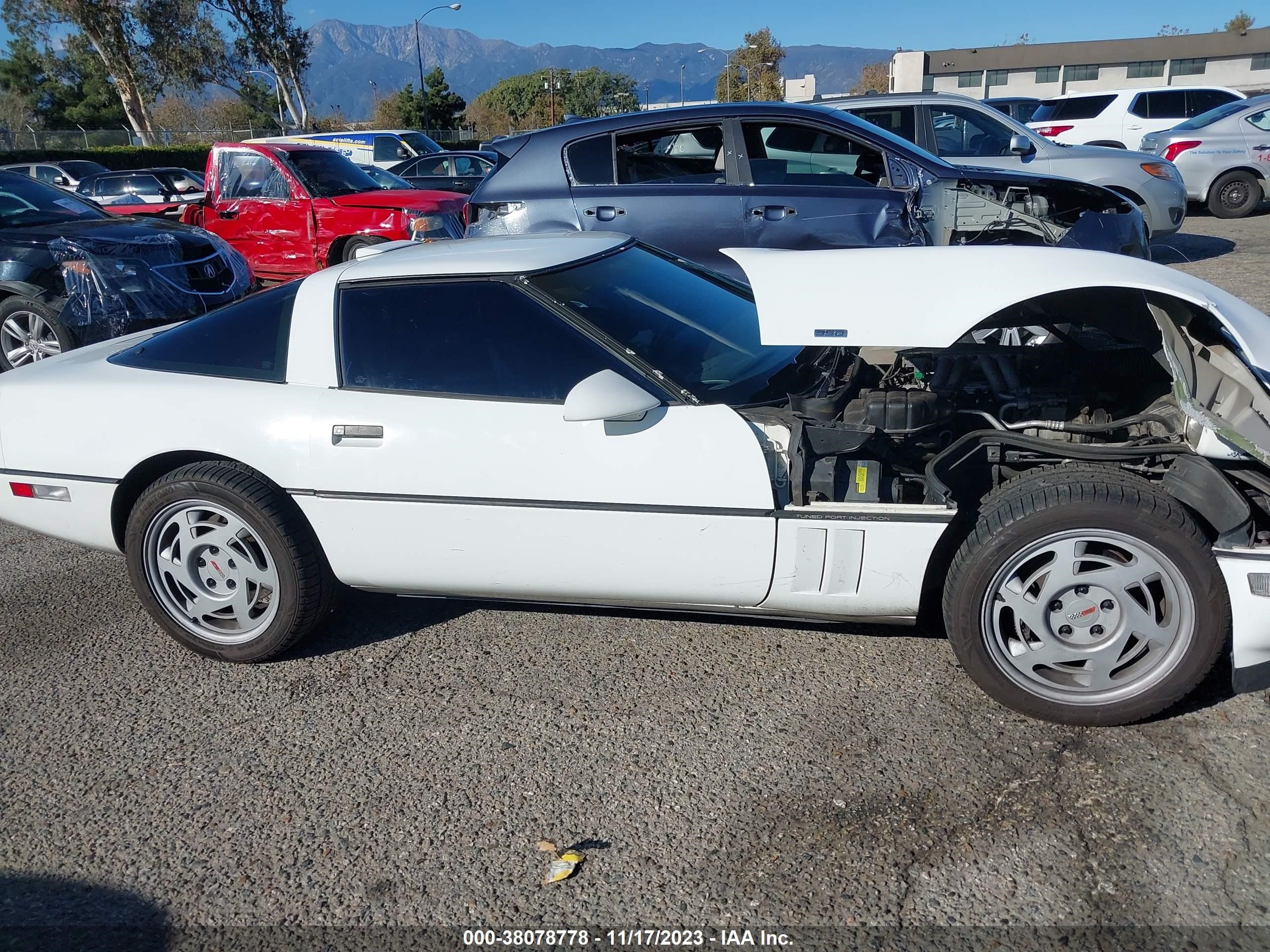 Photo 13 VIN: 1G1YY2387L5115414 - CHEVROLET CORVETTE 