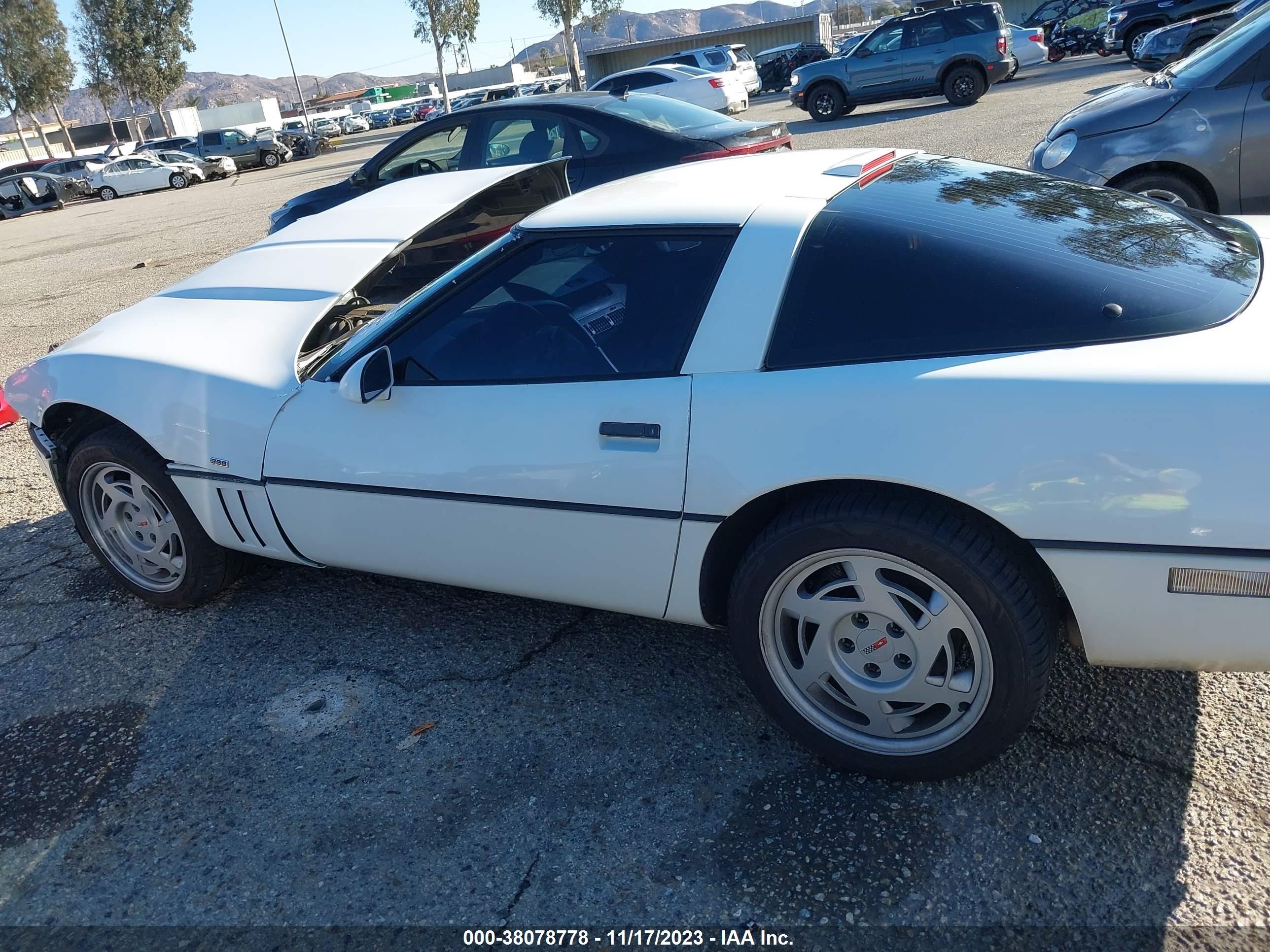 Photo 14 VIN: 1G1YY2387L5115414 - CHEVROLET CORVETTE 