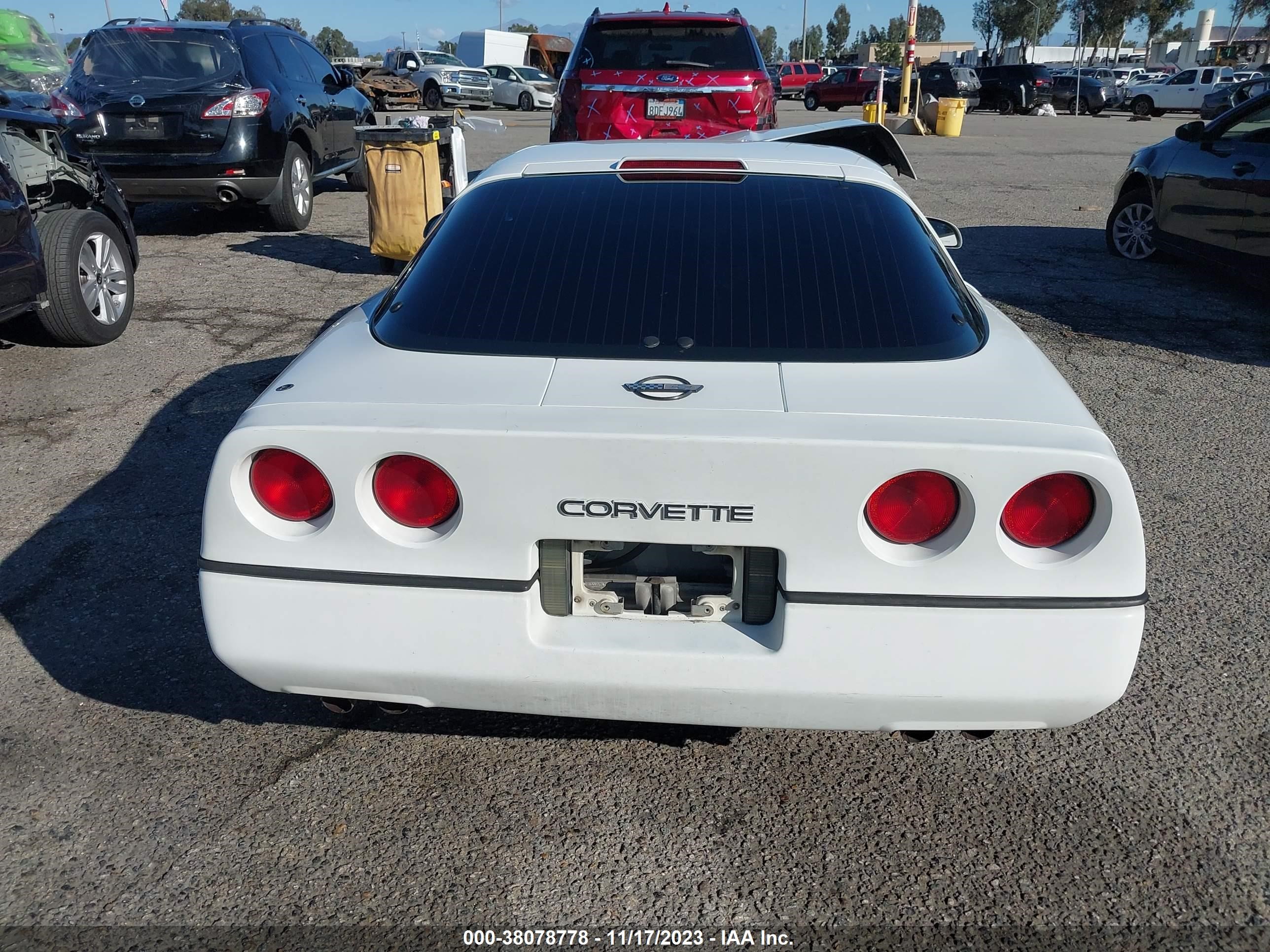 Photo 16 VIN: 1G1YY2387L5115414 - CHEVROLET CORVETTE 