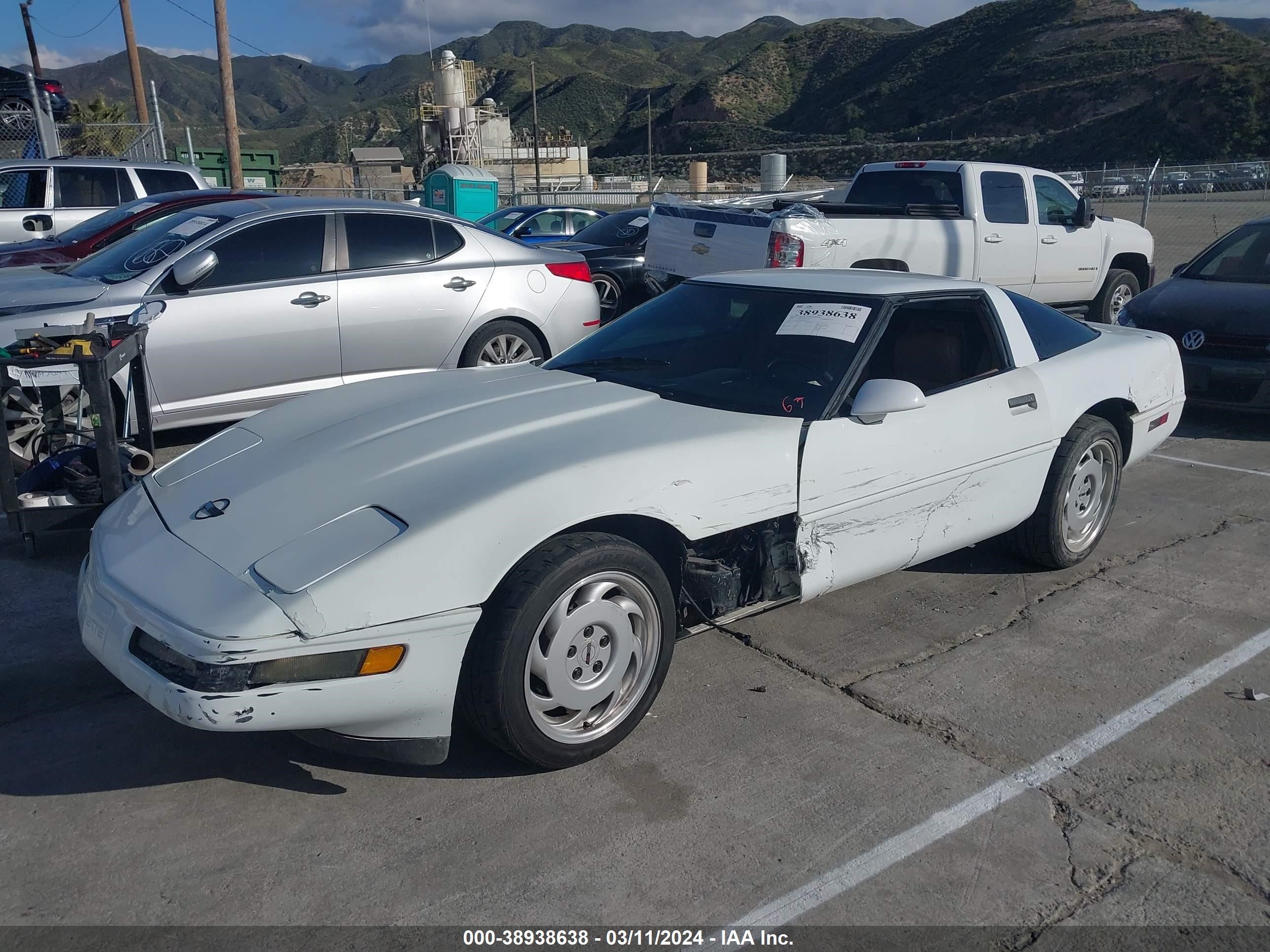 Photo 1 VIN: 1G1YY2387M5117357 - CHEVROLET CORVETTE 