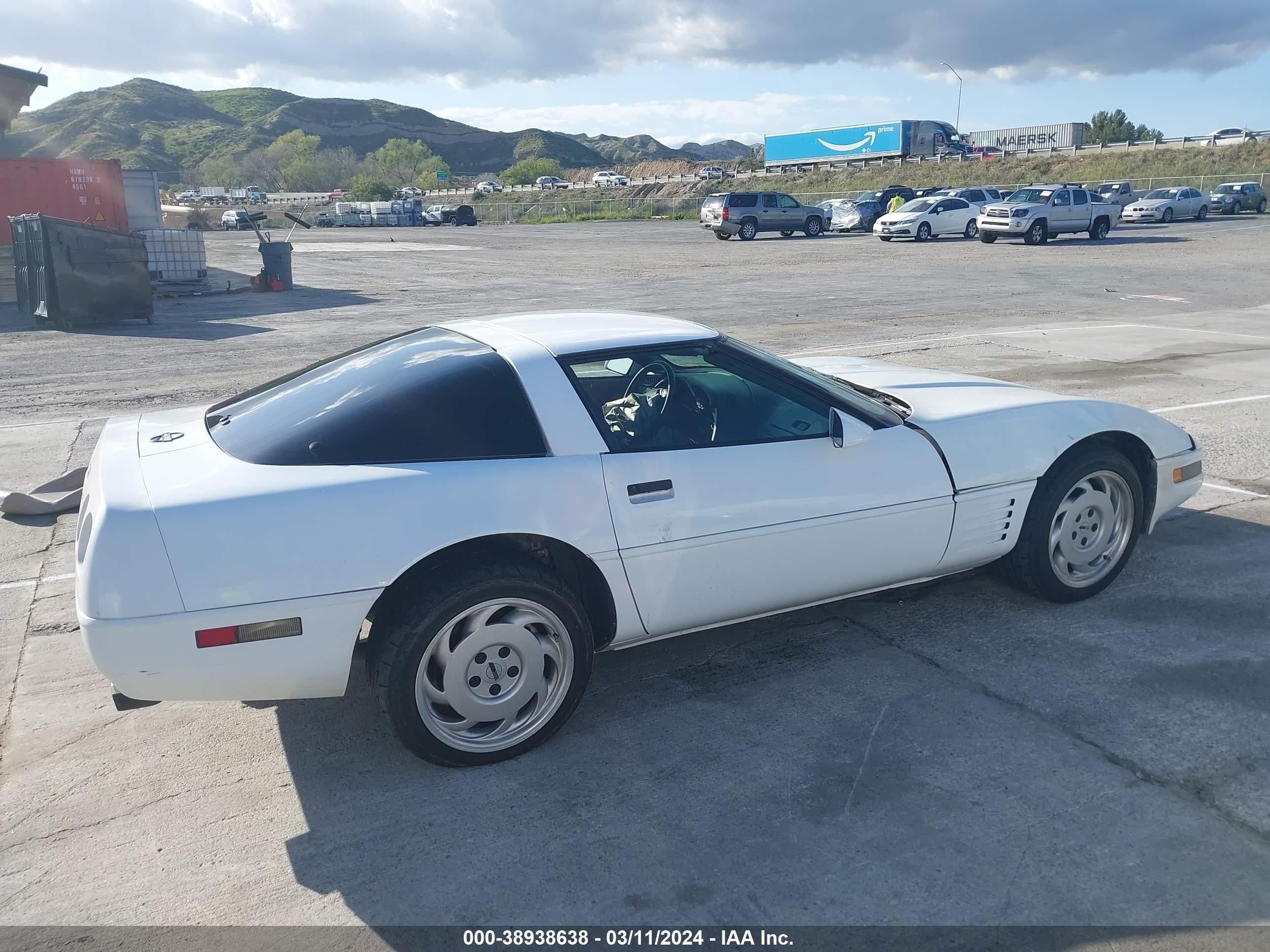 Photo 13 VIN: 1G1YY2387M5117357 - CHEVROLET CORVETTE 