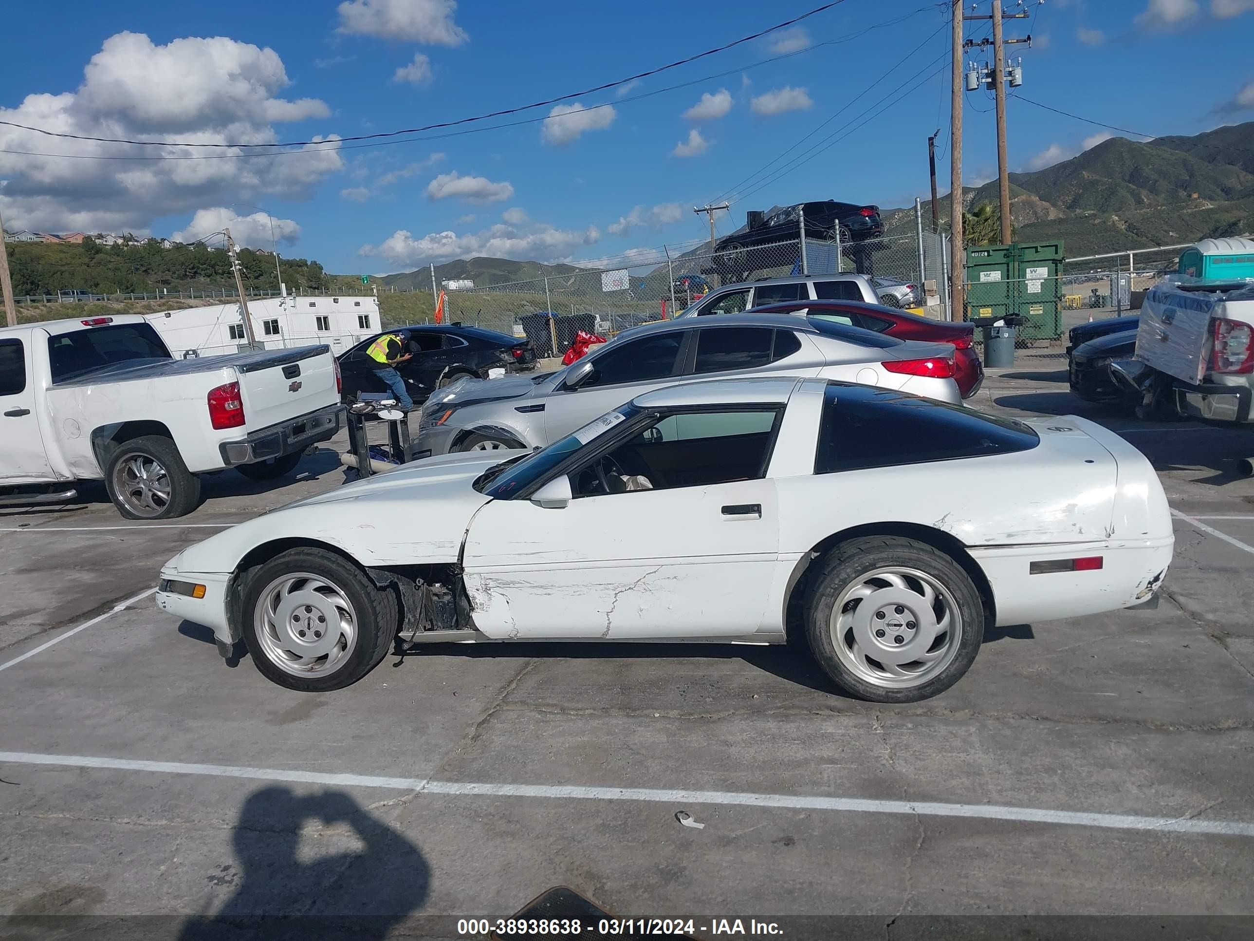 Photo 14 VIN: 1G1YY2387M5117357 - CHEVROLET CORVETTE 