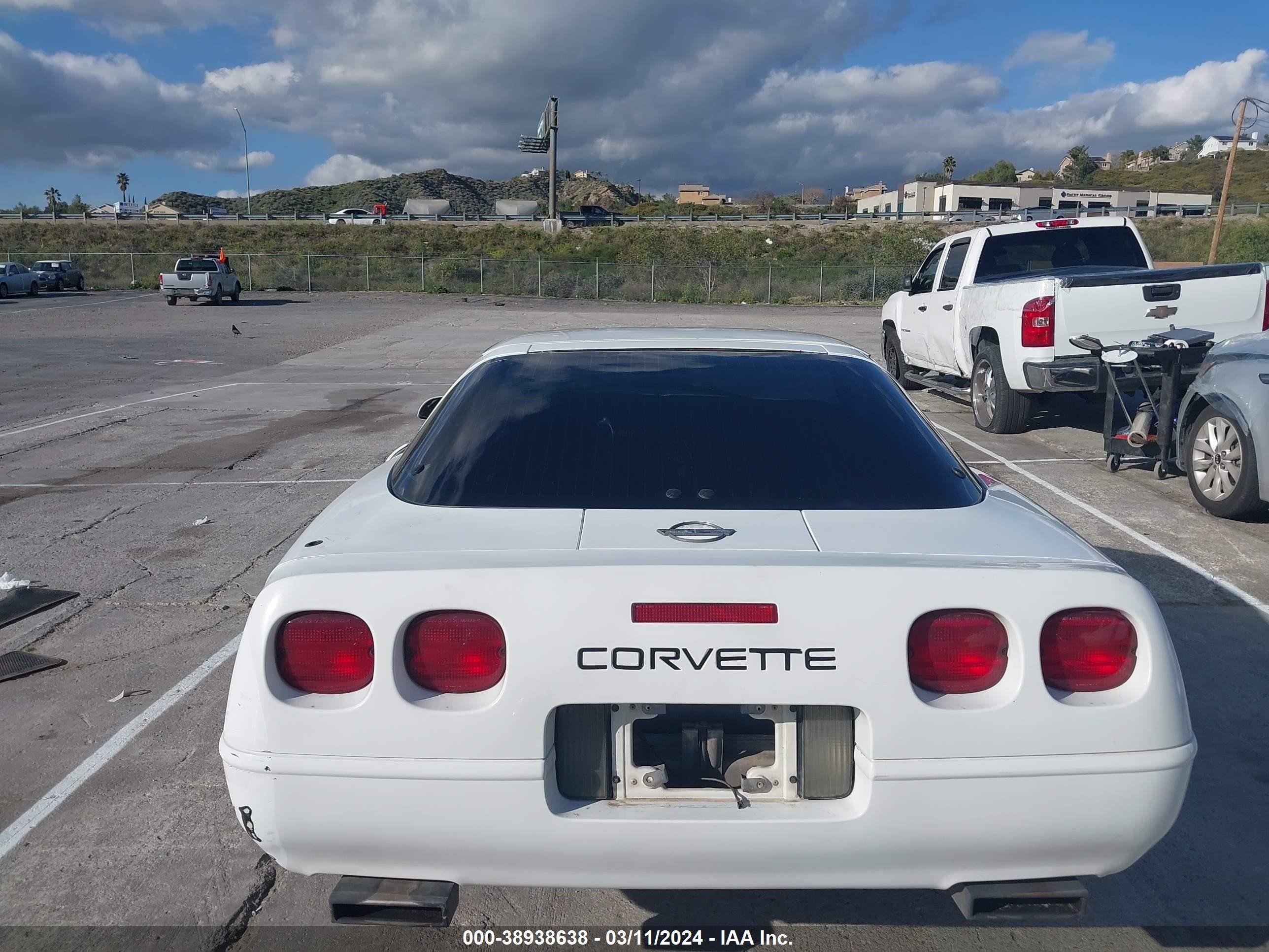 Photo 16 VIN: 1G1YY2387M5117357 - CHEVROLET CORVETTE 