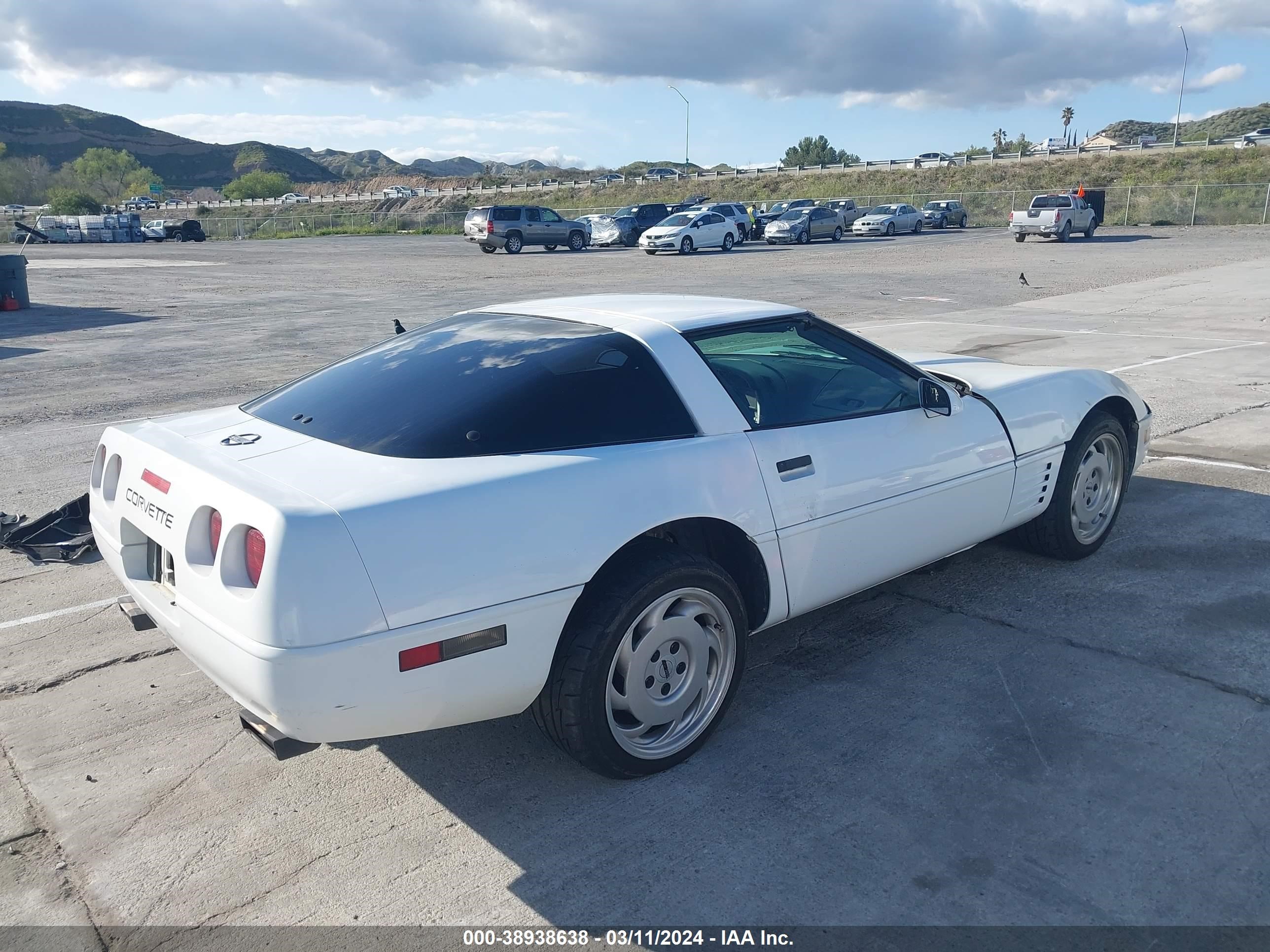 Photo 3 VIN: 1G1YY2387M5117357 - CHEVROLET CORVETTE 