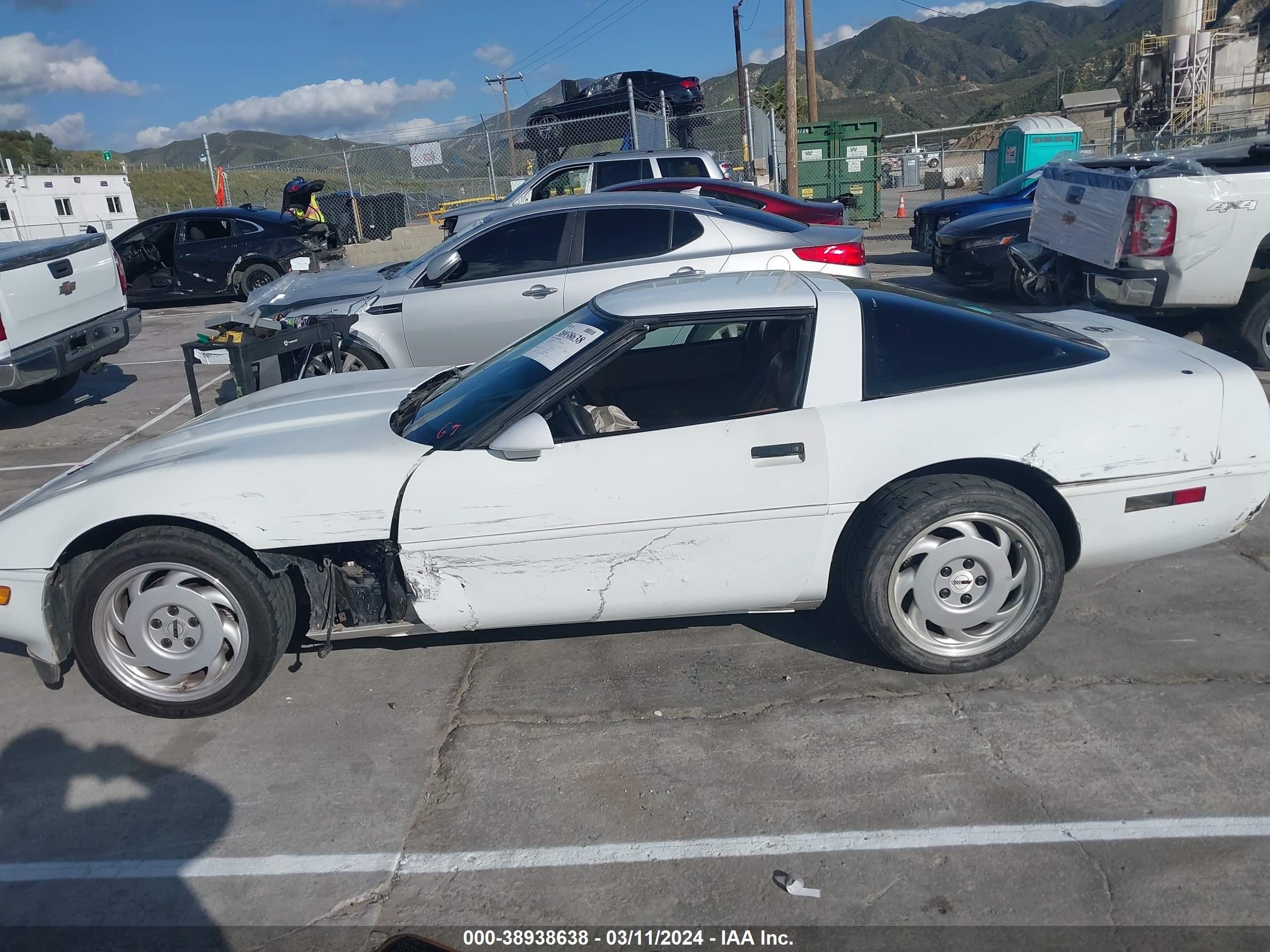 Photo 5 VIN: 1G1YY2387M5117357 - CHEVROLET CORVETTE 