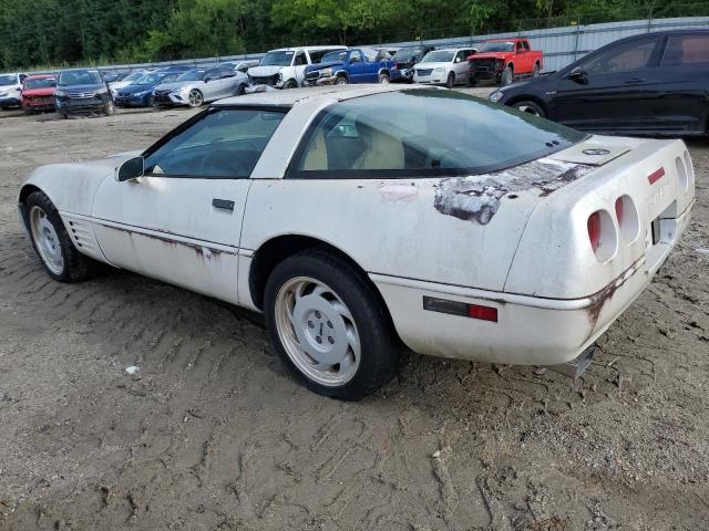 Photo 1 VIN: 1G1YY2389M5103492 - CHEVROLET CORVETTE 