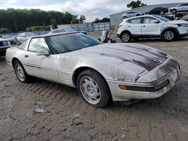 Photo 3 VIN: 1G1YY2389M5103492 - CHEVROLET CORVETTE 