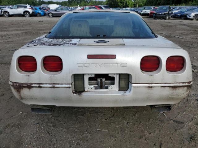 Photo 5 VIN: 1G1YY2389M5103492 - CHEVROLET CORVETTE 