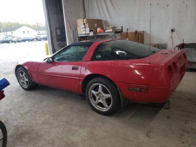 Photo 1 VIN: 1G1YY238XM5106711 - CHEVROLET CORVETTE 