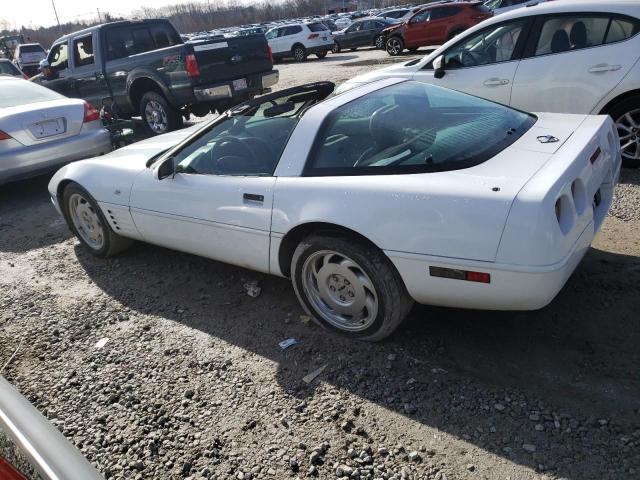 Photo 1 VIN: 1G1YY23P4P5119742 - CHEVROLET CORVETTE 