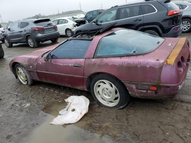 Photo 1 VIN: 1G1YY23P5P5108393 - CHEVROLET CORVETTE 