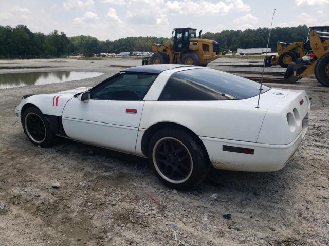 Photo 1 VIN: 1G1YY23P6P5103686 - CHEVROLET CORVETTE 