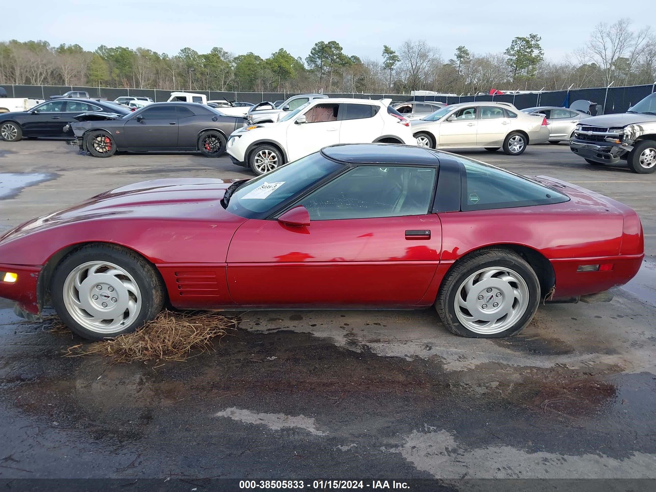 Photo 13 VIN: 1G1YY23P9N5119572 - CHEVROLET CORVETTE 