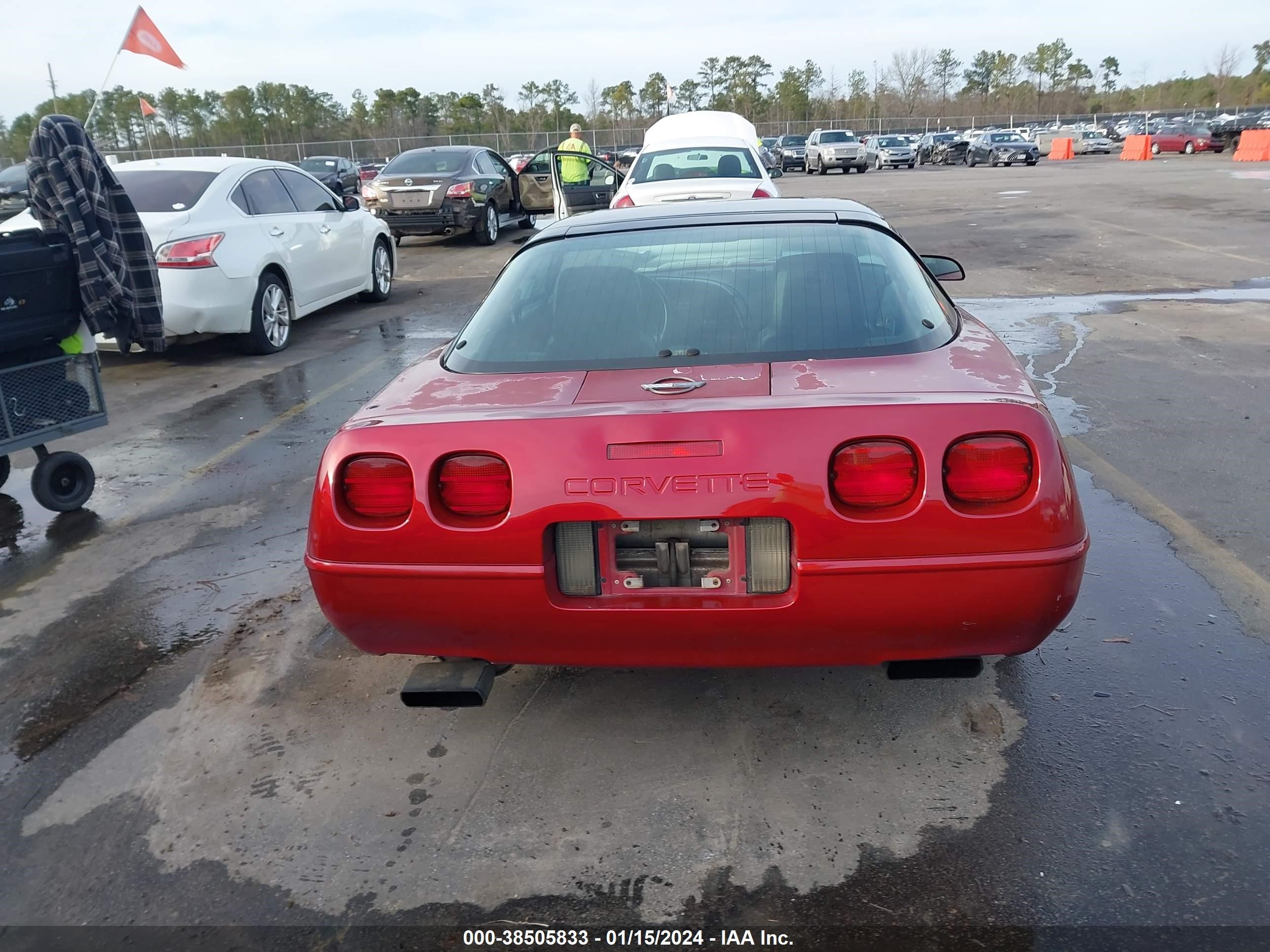 Photo 15 VIN: 1G1YY23P9N5119572 - CHEVROLET CORVETTE 