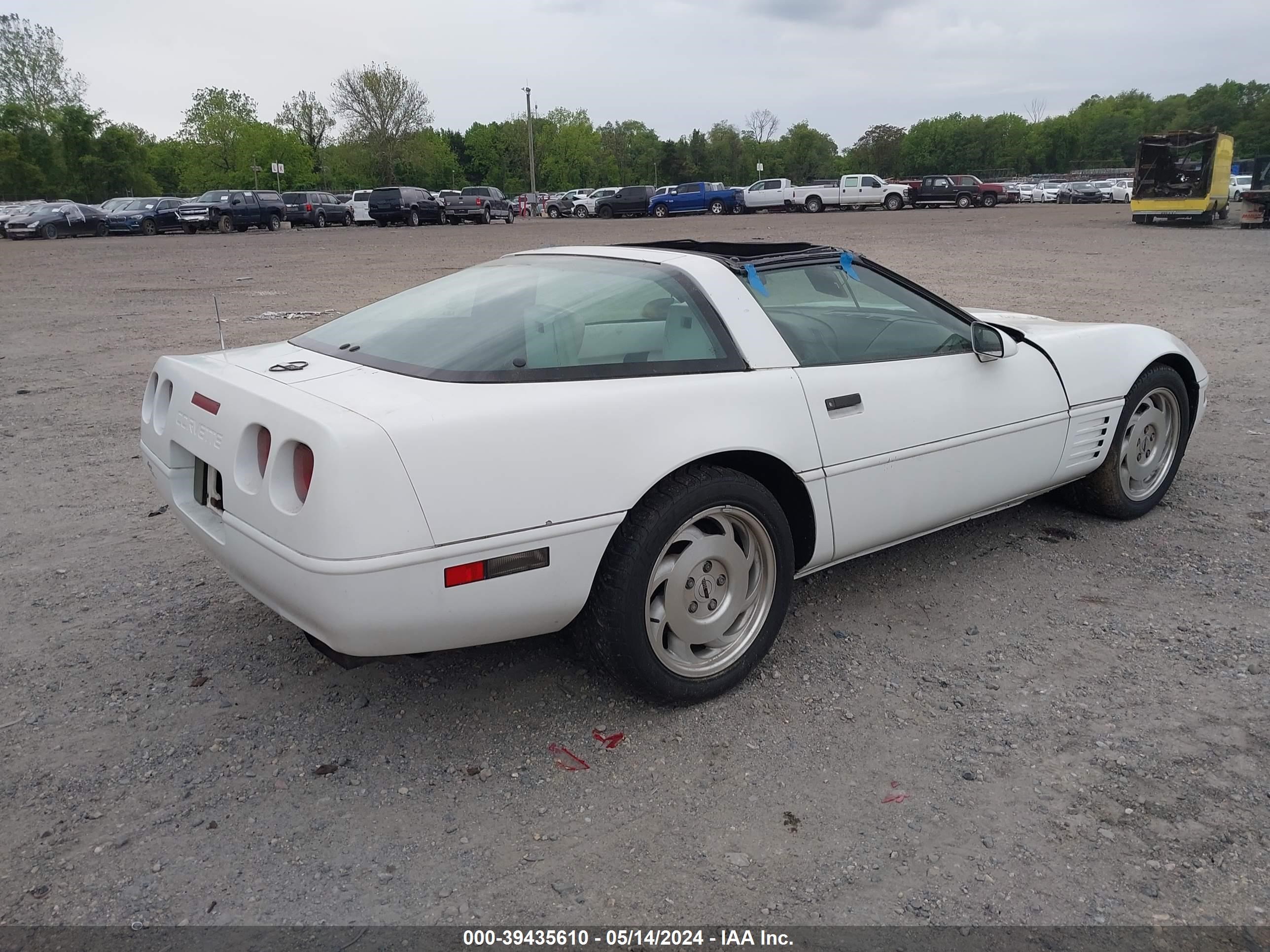 Photo 3 VIN: 1G1YY23PXP5110589 - CHEVROLET CORVETTE 