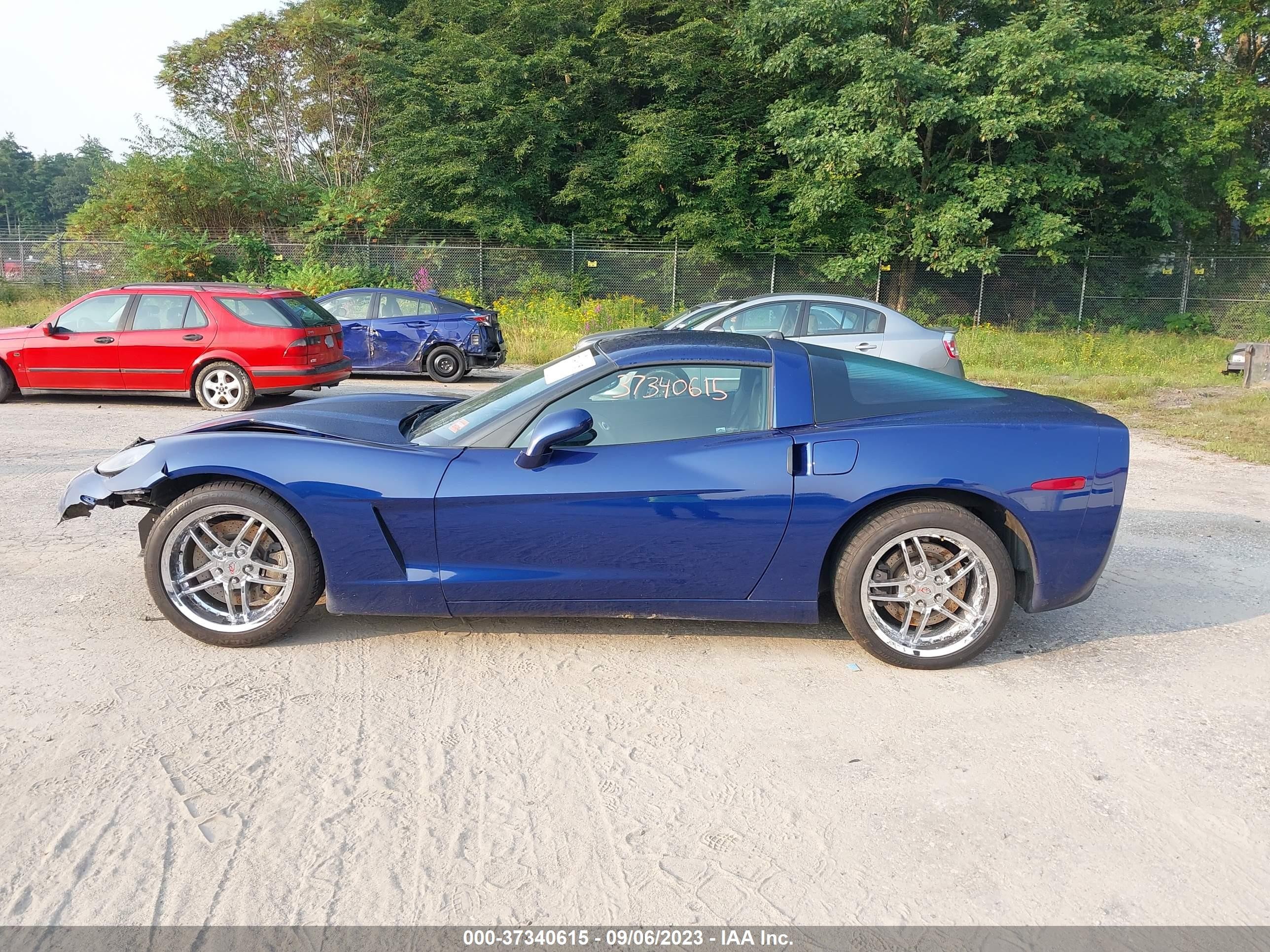 Photo 13 VIN: 1G1YY24U155119960 - CHEVROLET CORVETTE 