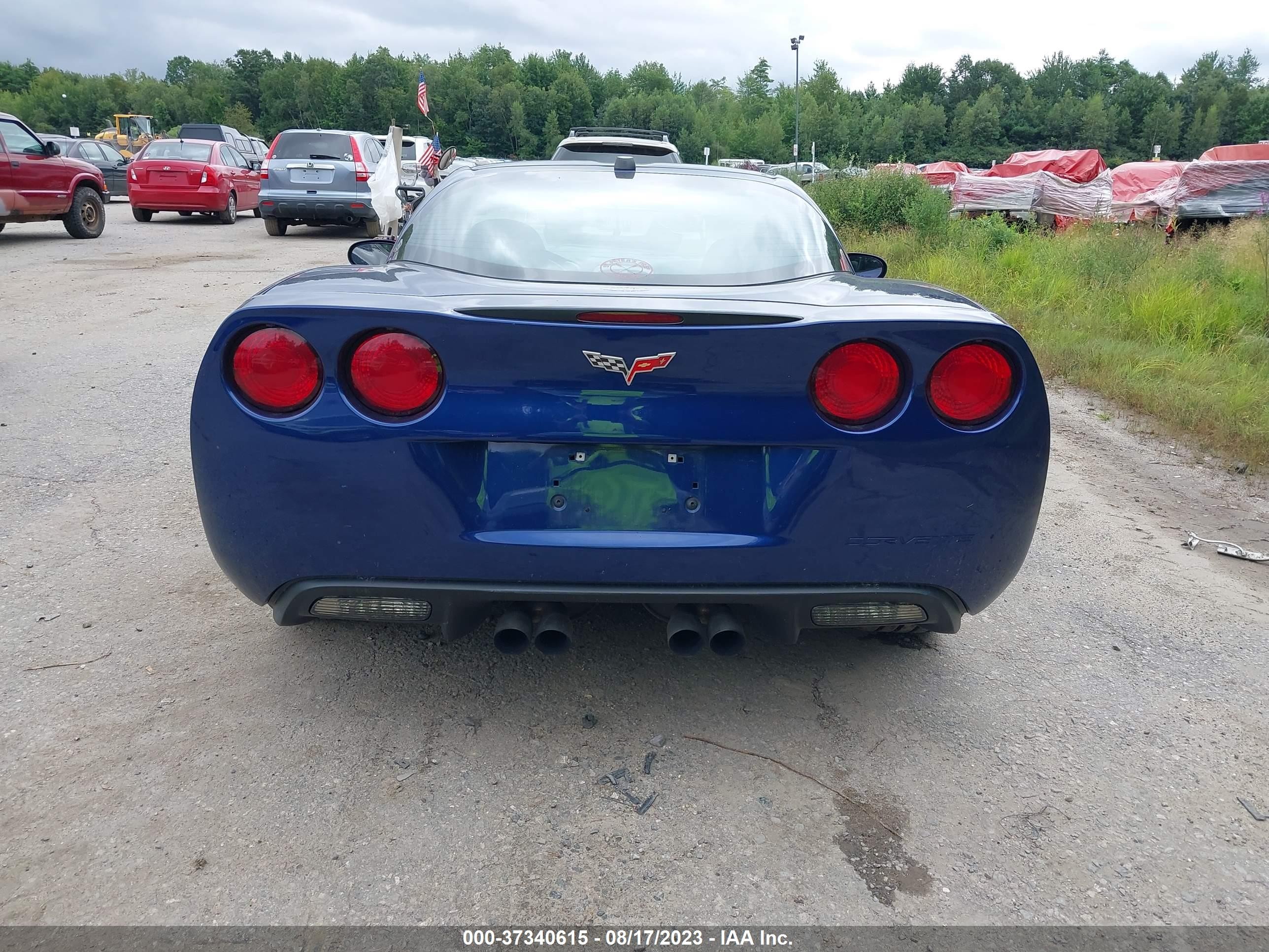 Photo 15 VIN: 1G1YY24U155119960 - CHEVROLET CORVETTE 