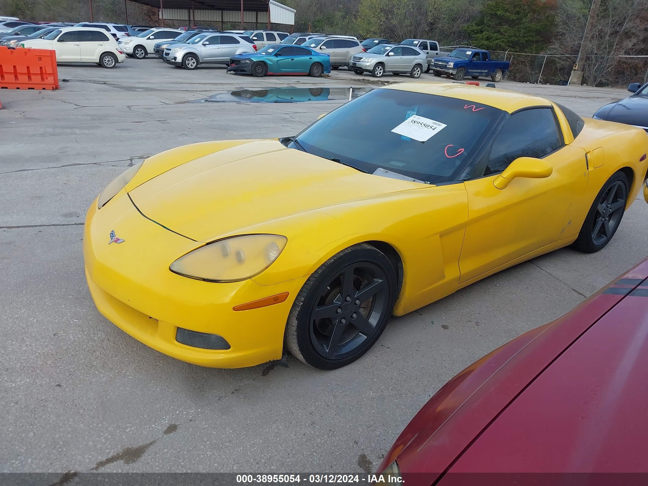 Photo 1 VIN: 1G1YY24U655104483 - CHEVROLET CORVETTE 