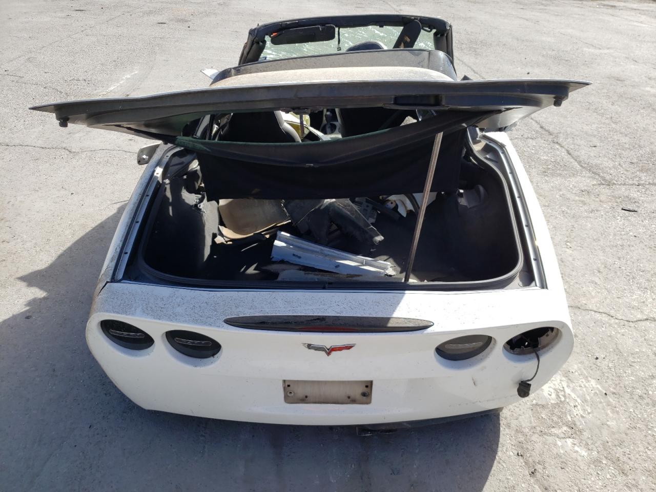 Photo 9 VIN: 1G1YY24U955134593 - CHEVROLET CORVETTE 