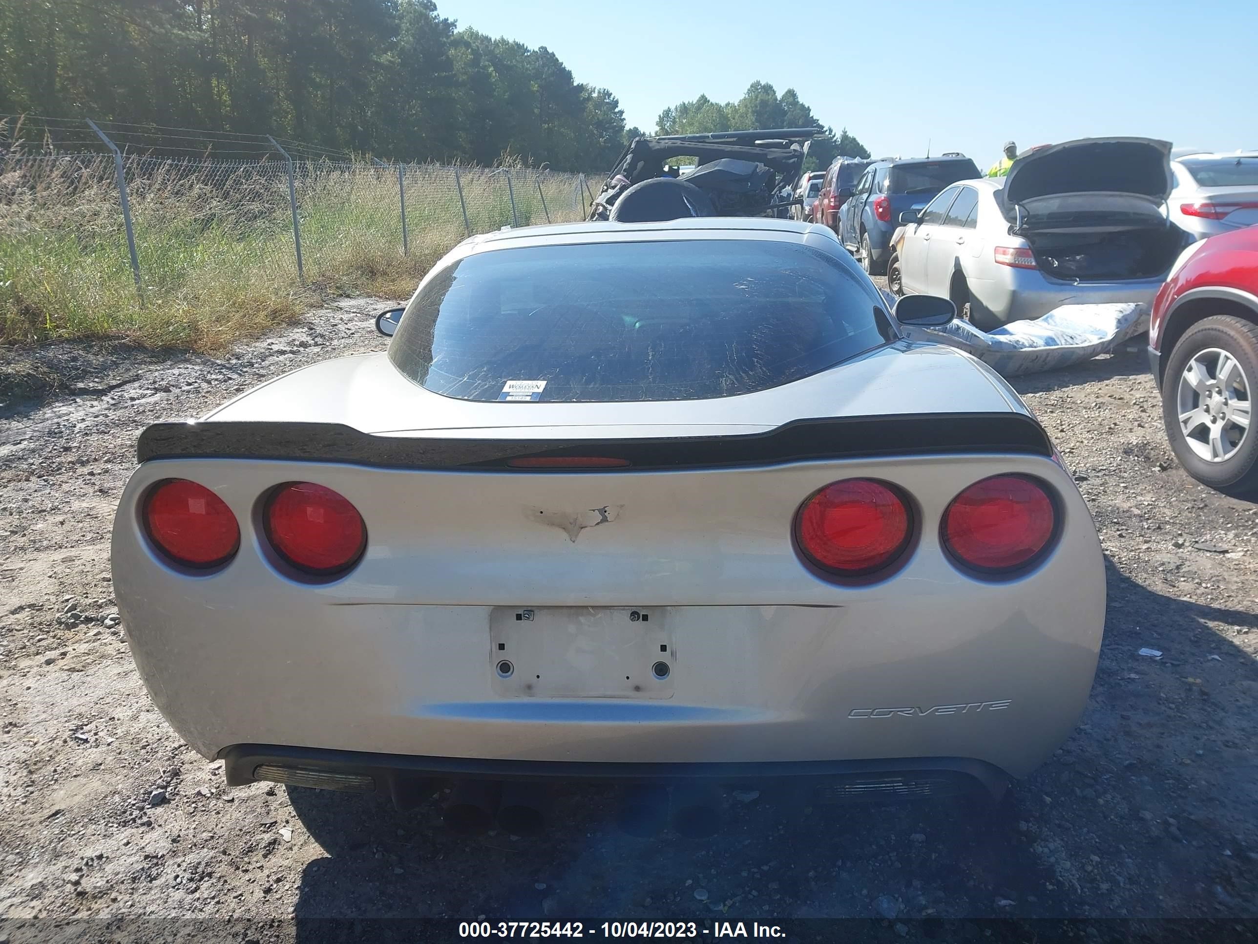 Photo 16 VIN: 1G1YY25U565124806 - CHEVROLET CORVETTE 