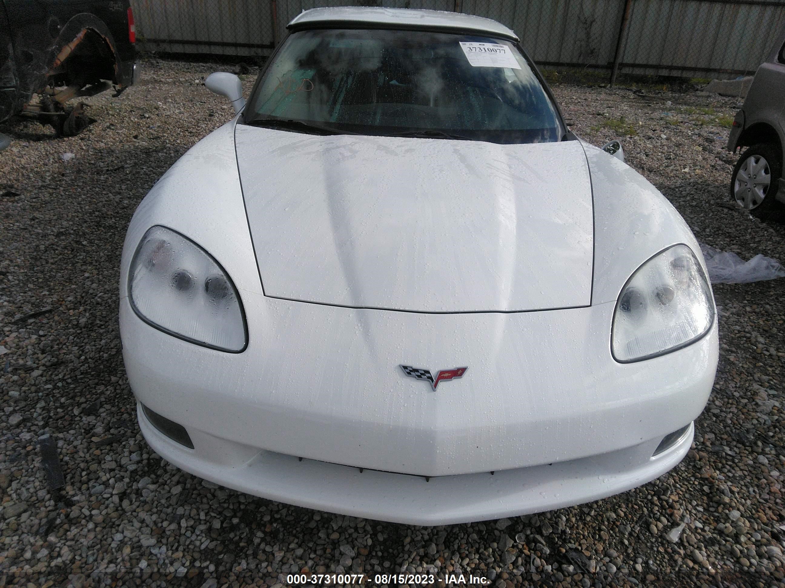 Photo 11 VIN: 1G1YY25U675138294 - CHEVROLET CORVETTE 