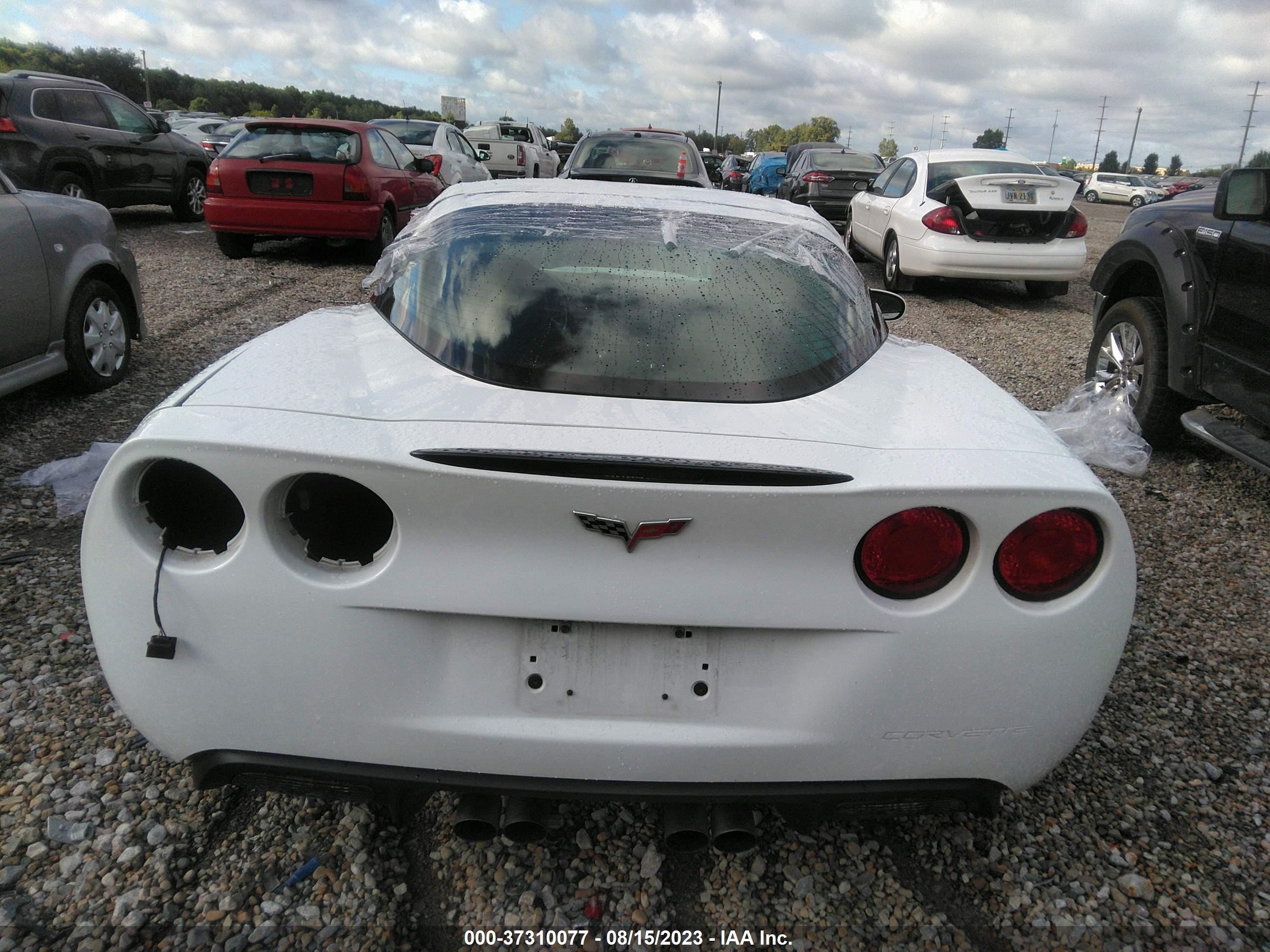 Photo 15 VIN: 1G1YY25U675138294 - CHEVROLET CORVETTE 