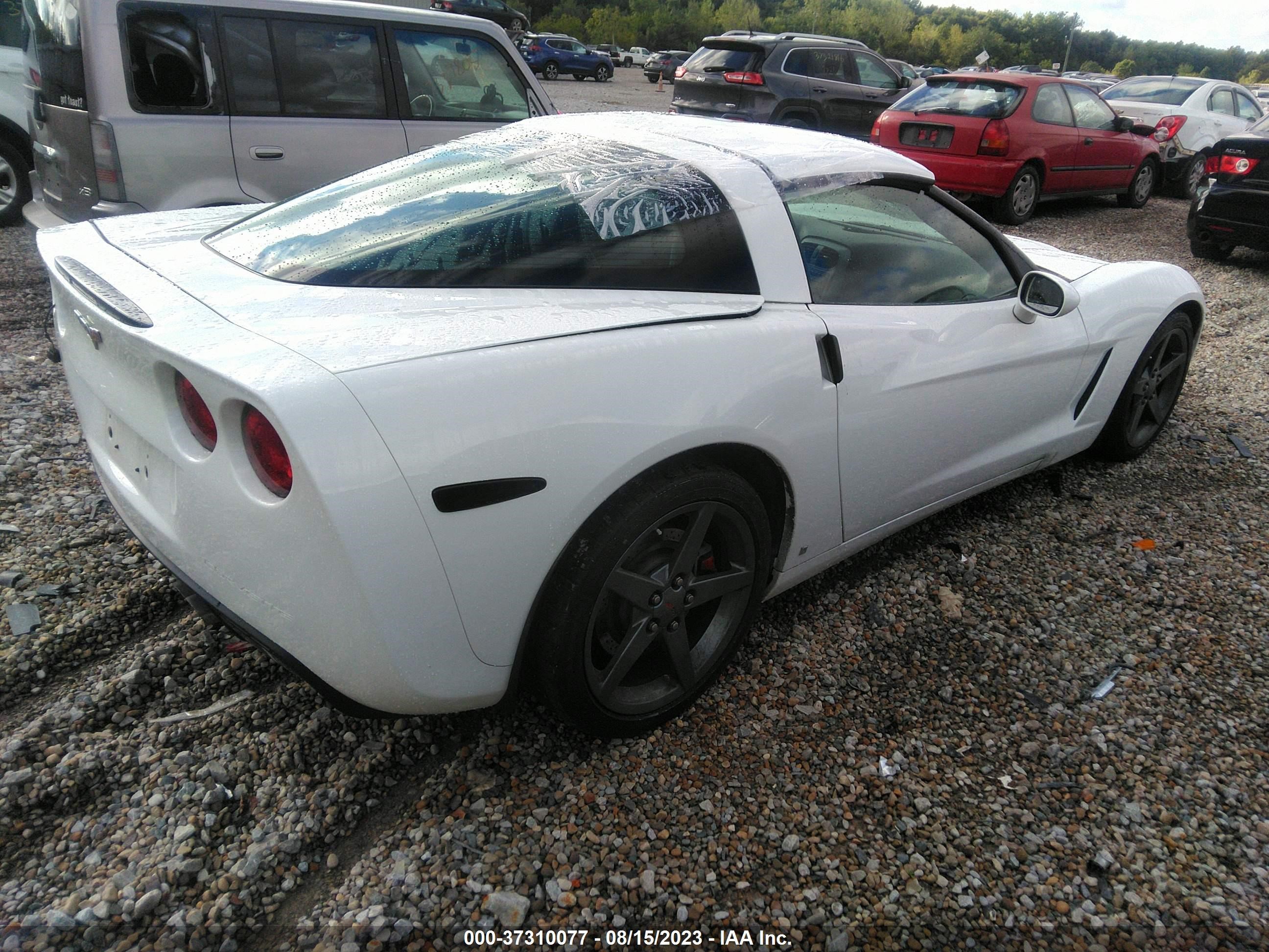 Photo 3 VIN: 1G1YY25U675138294 - CHEVROLET CORVETTE 