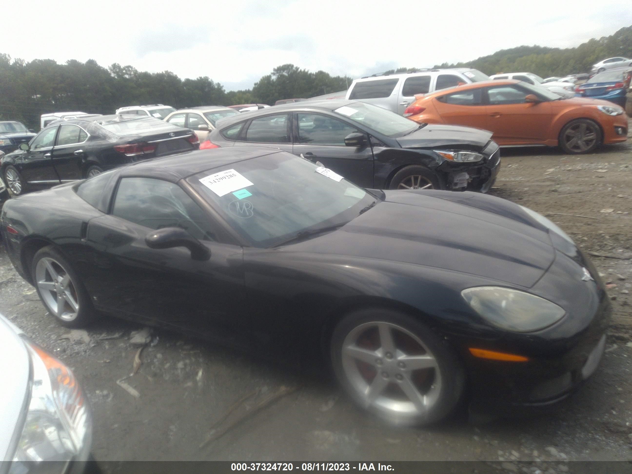 Photo 12 VIN: 1G1YY25U765131966 - CHEVROLET CORVETTE 