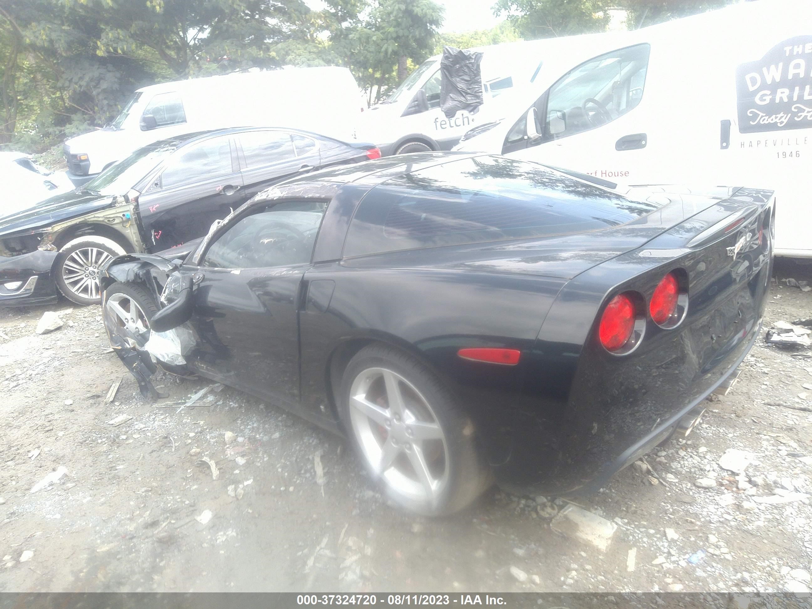 Photo 13 VIN: 1G1YY25U765131966 - CHEVROLET CORVETTE 