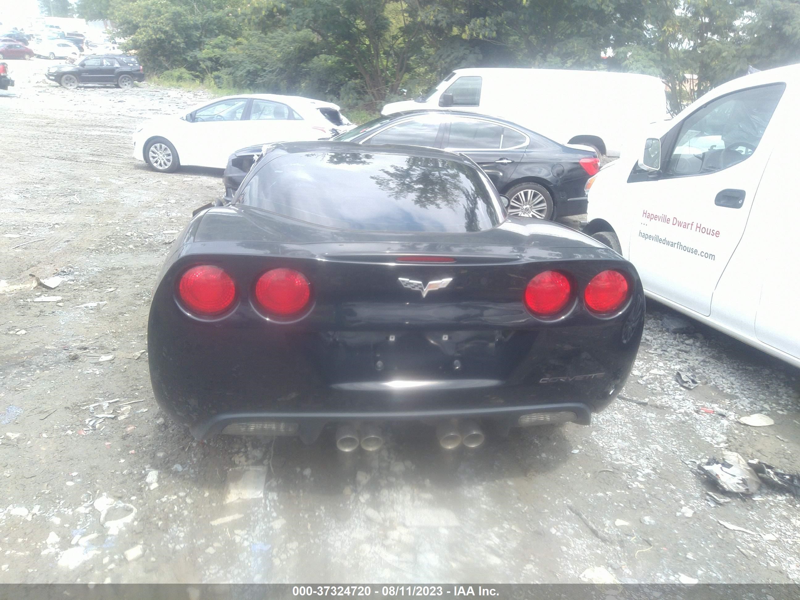 Photo 15 VIN: 1G1YY25U765131966 - CHEVROLET CORVETTE 