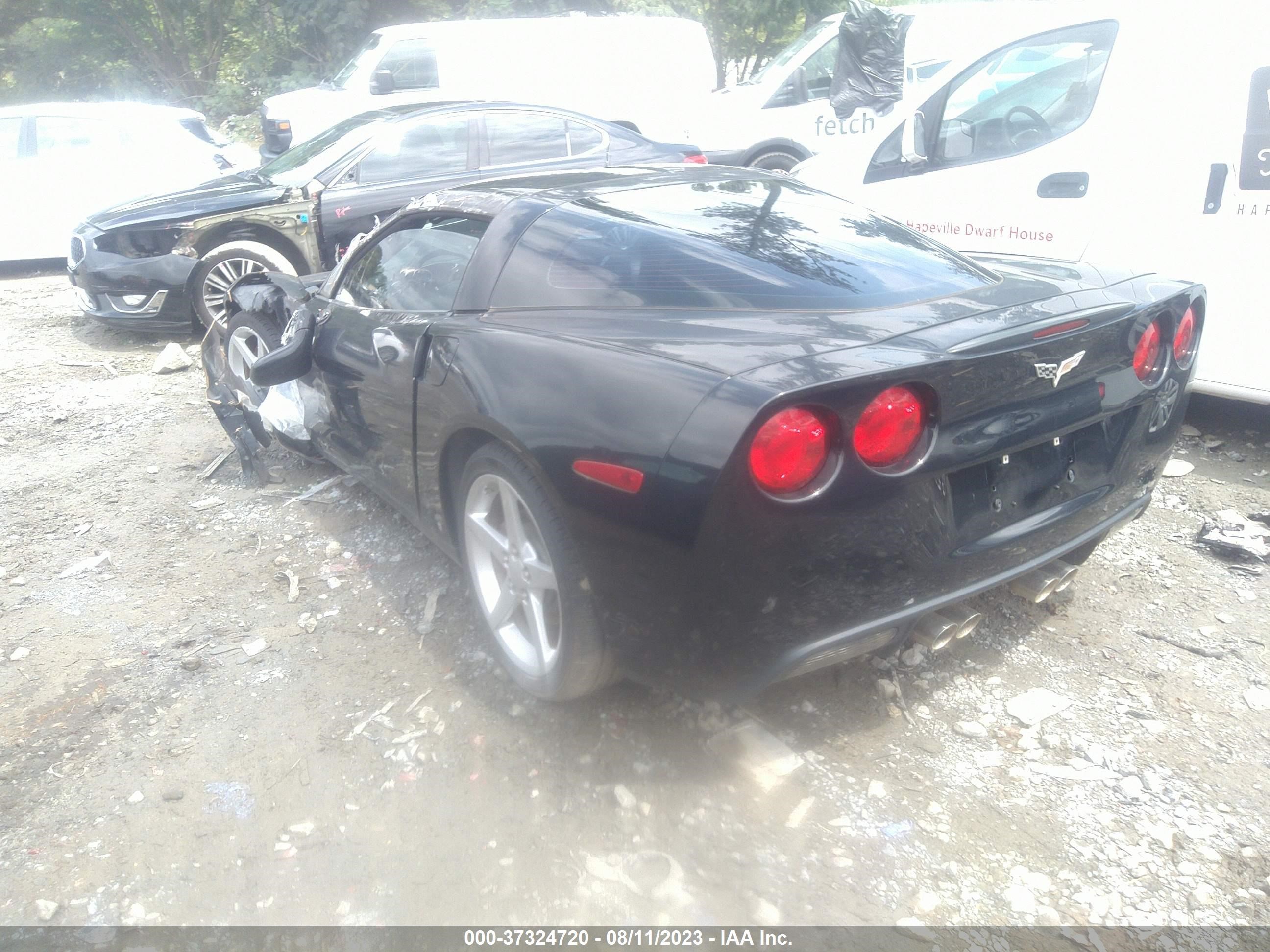 Photo 2 VIN: 1G1YY25U765131966 - CHEVROLET CORVETTE 