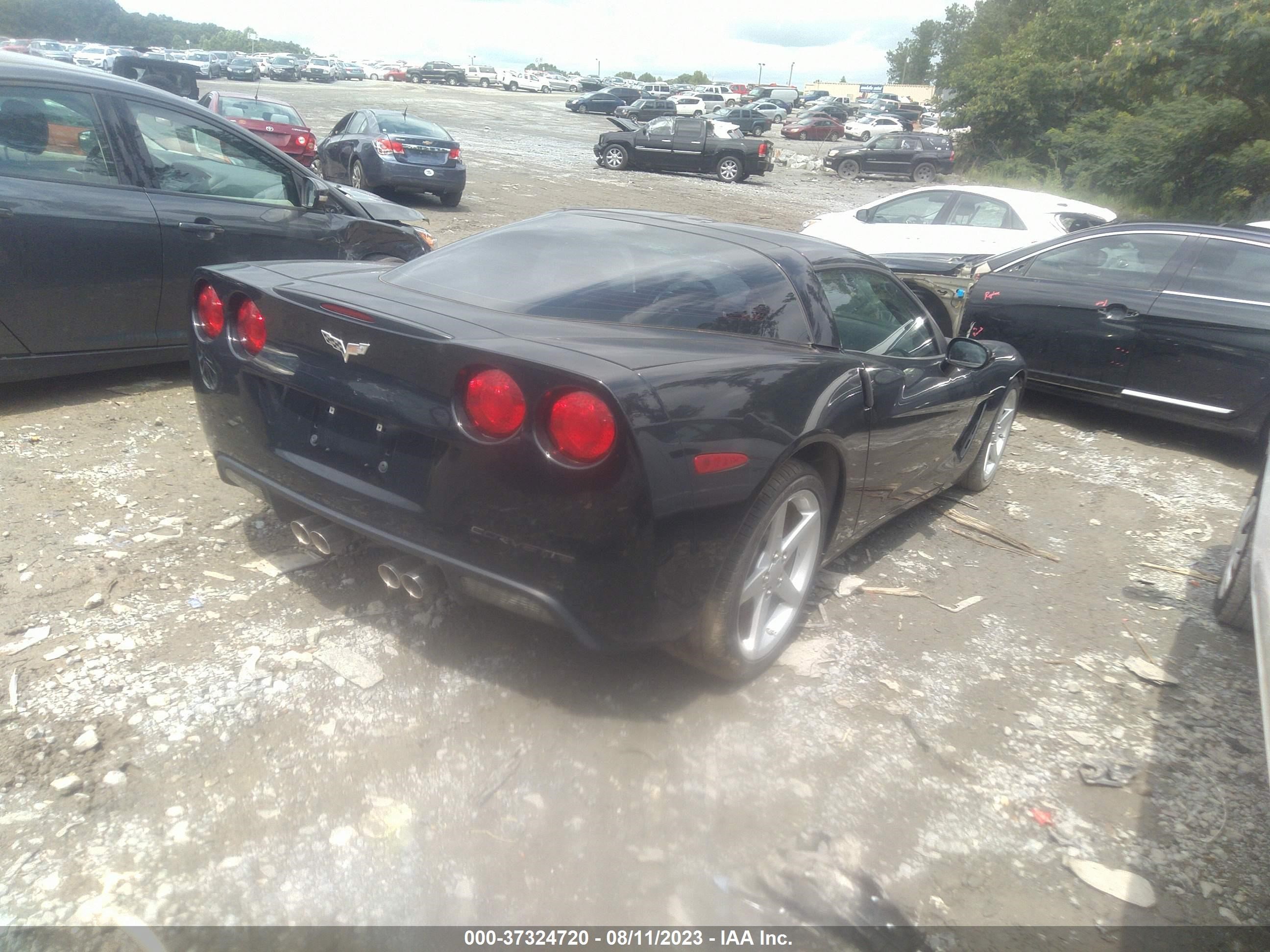 Photo 3 VIN: 1G1YY25U765131966 - CHEVROLET CORVETTE 