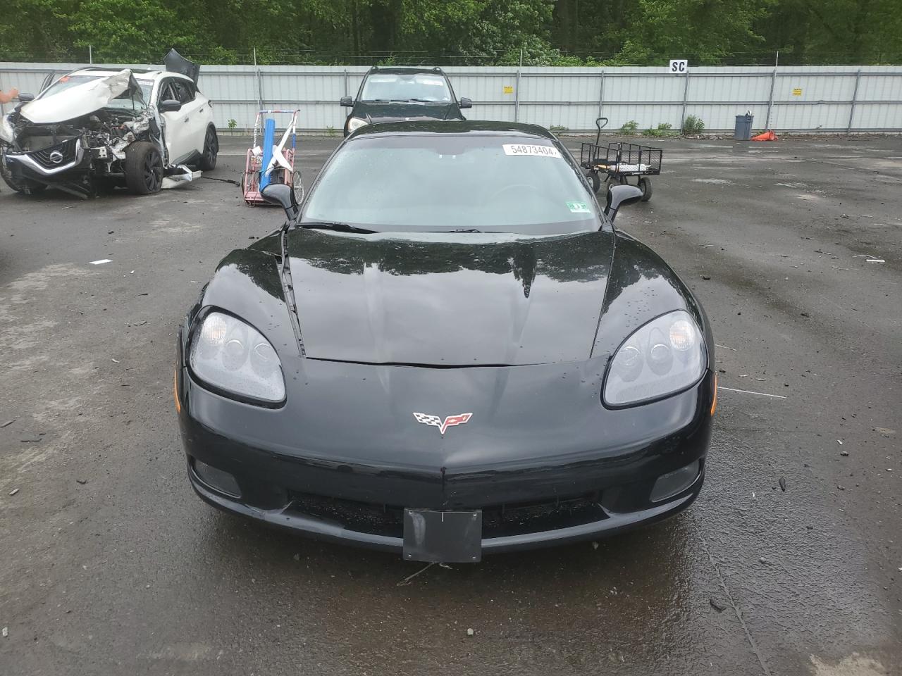 Photo 4 VIN: 1G1YY25W385134206 - CHEVROLET CORVETTE 